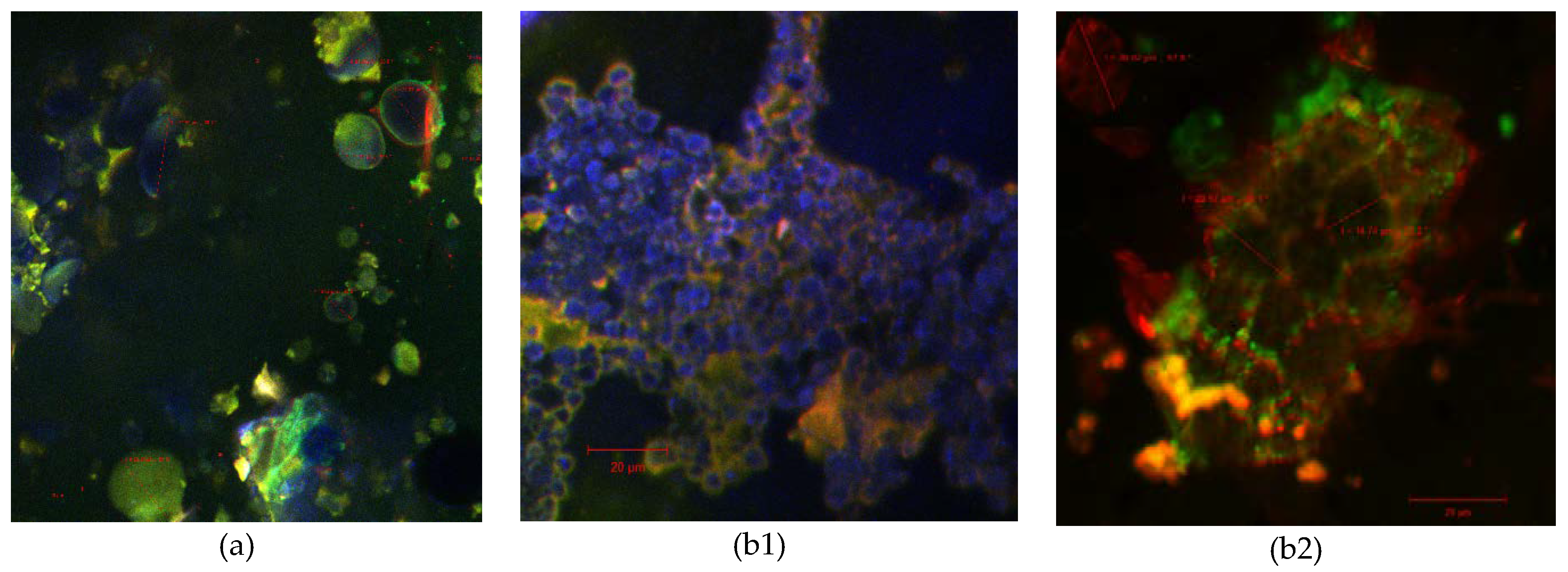 Molecules 23 03047 g002 Molecules 23 03047 g002