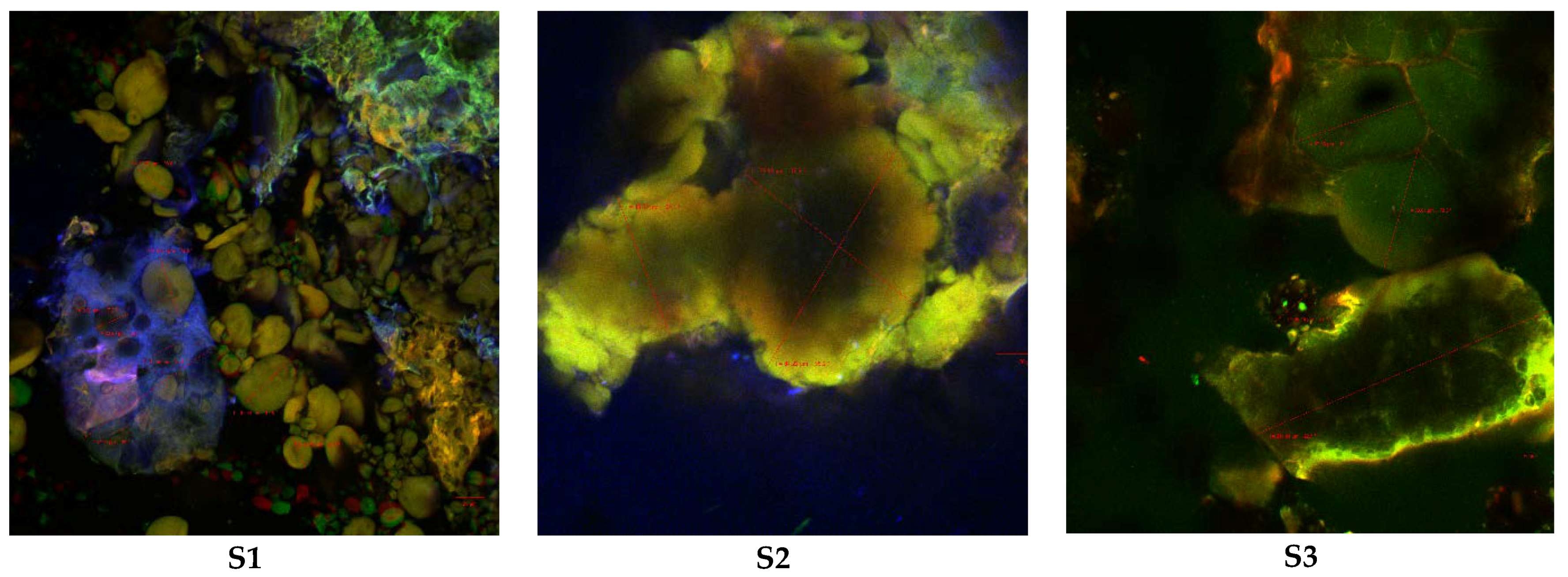 Molecules 23 03047 g003 Molecules 23 03047 g003