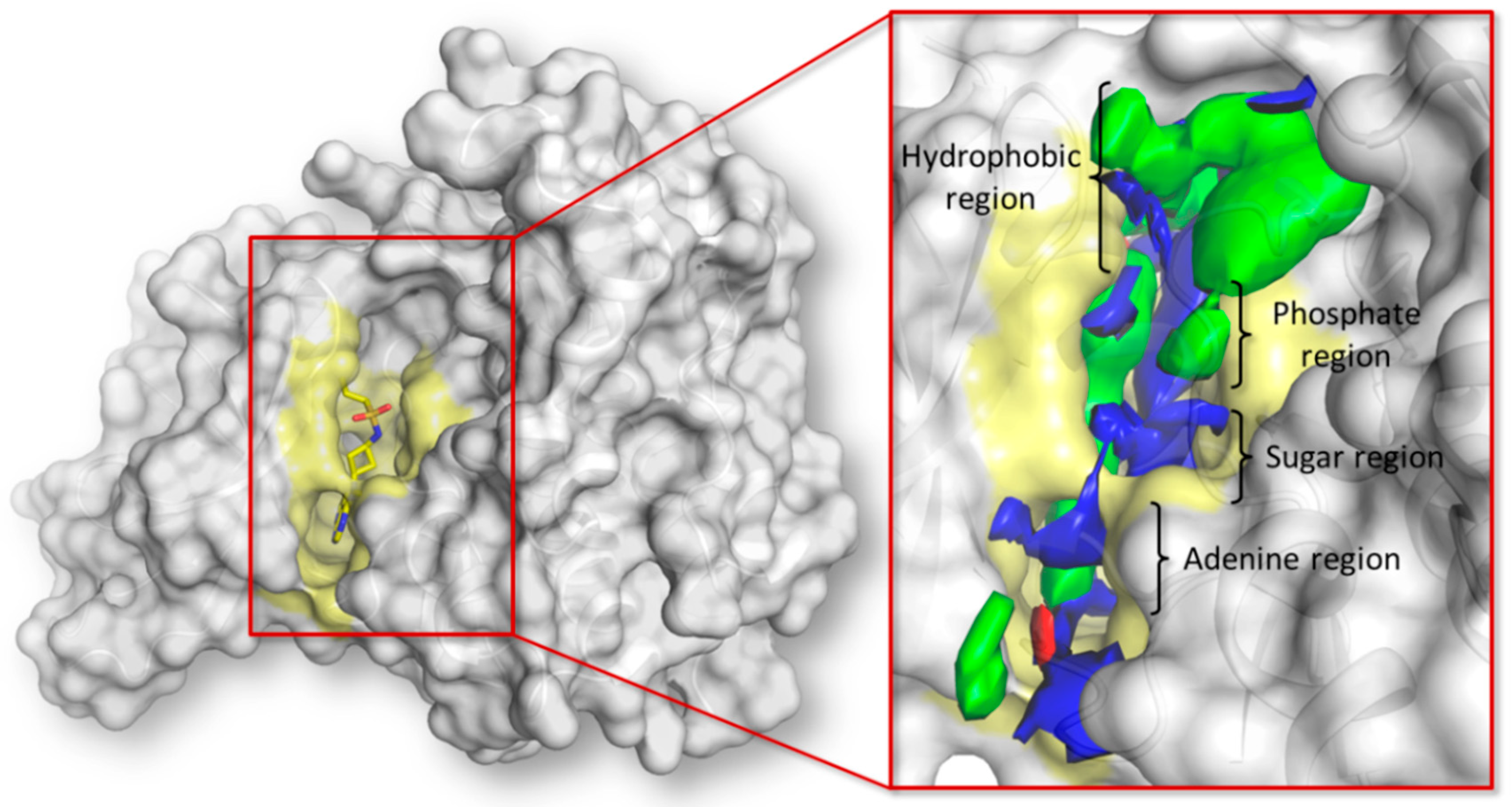 Molecules 23 03058 g002