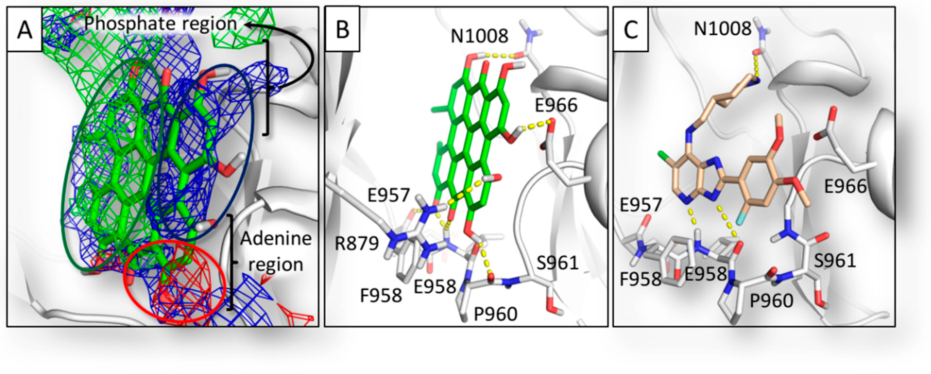 molecules free full text