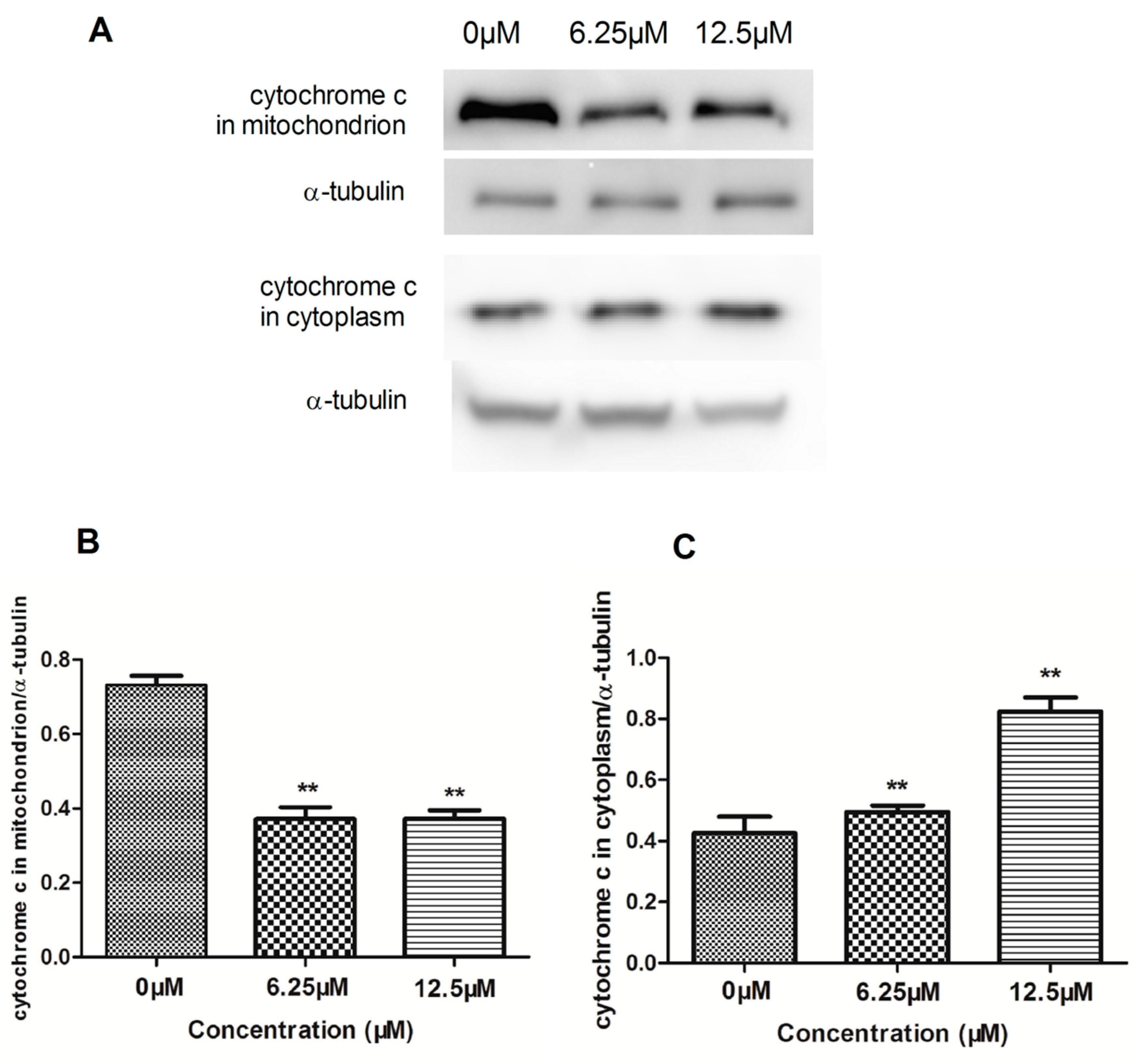 Molecules 23 03059 g005 550