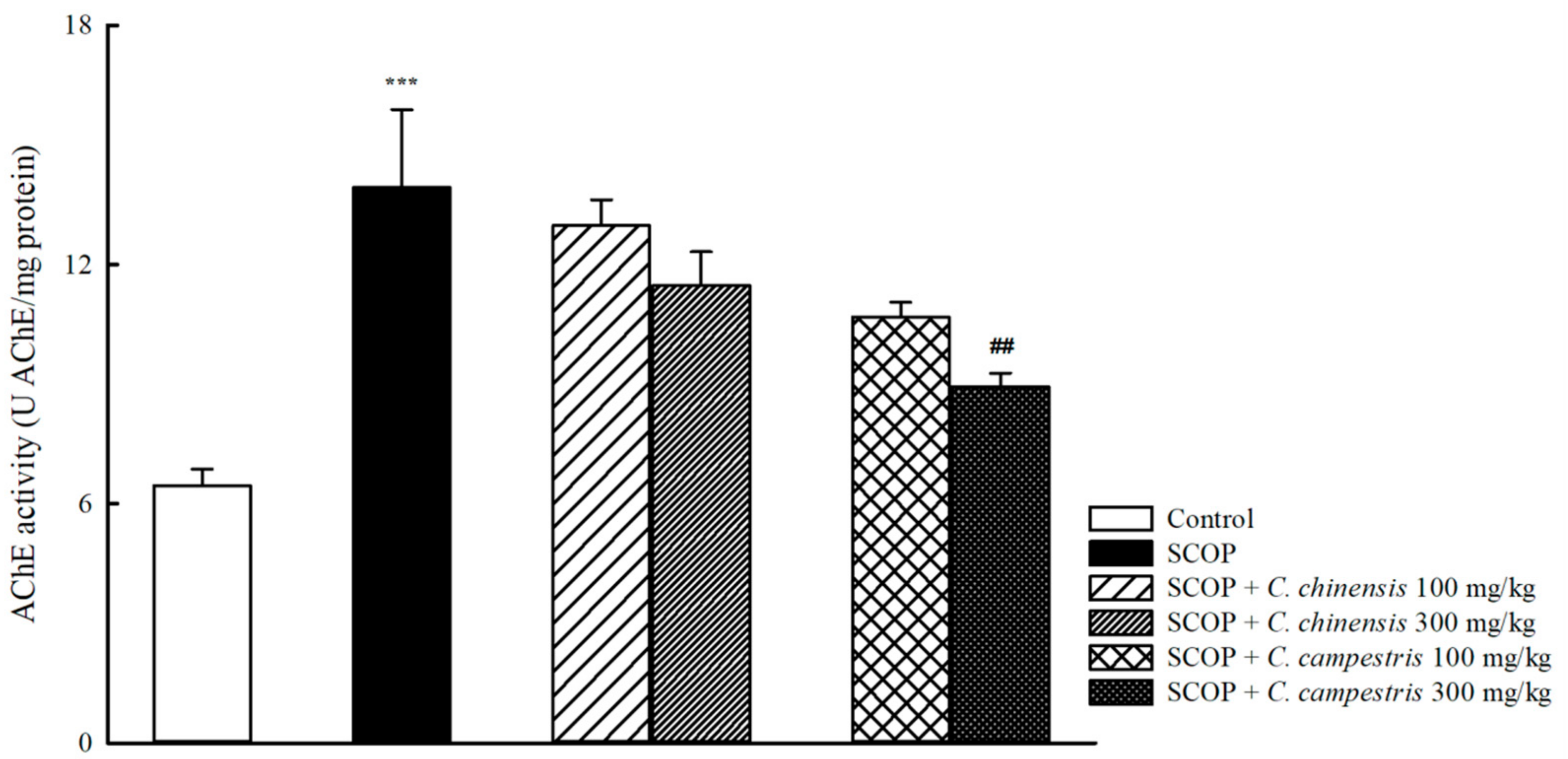 Headers Linked To Memory Deficit In >> Molecules Free Full Text Cuscuta Chinensis And C Campestris Headers Linked To Memory Deficit In >> Molecules Free Full Text Cuscuta Chinensis And C Campestris