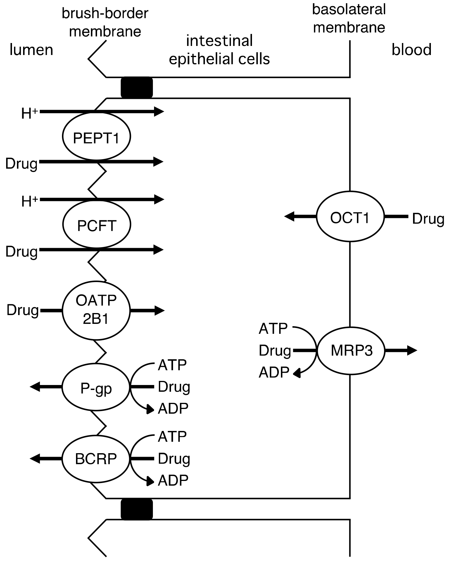 Molecules 23 03062 g002 Molecules 23 03062 g002