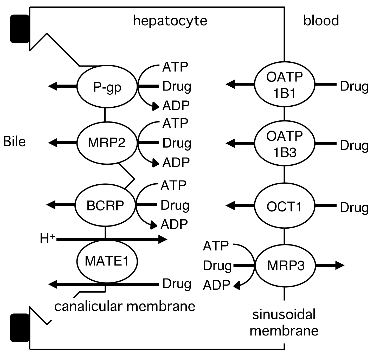 Molecules 23 03062 g003 Molecules 23 03062 g003
