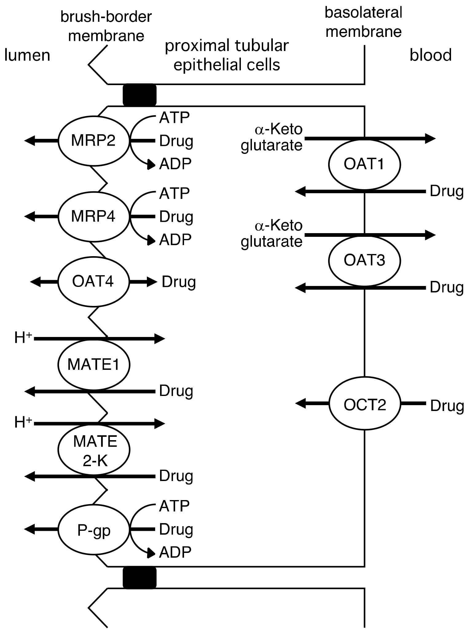 Molecules 23 03062 g004 Molecules 23 03062 g004