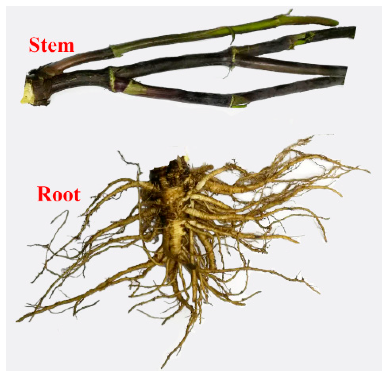 Molecules 23 03065 g001