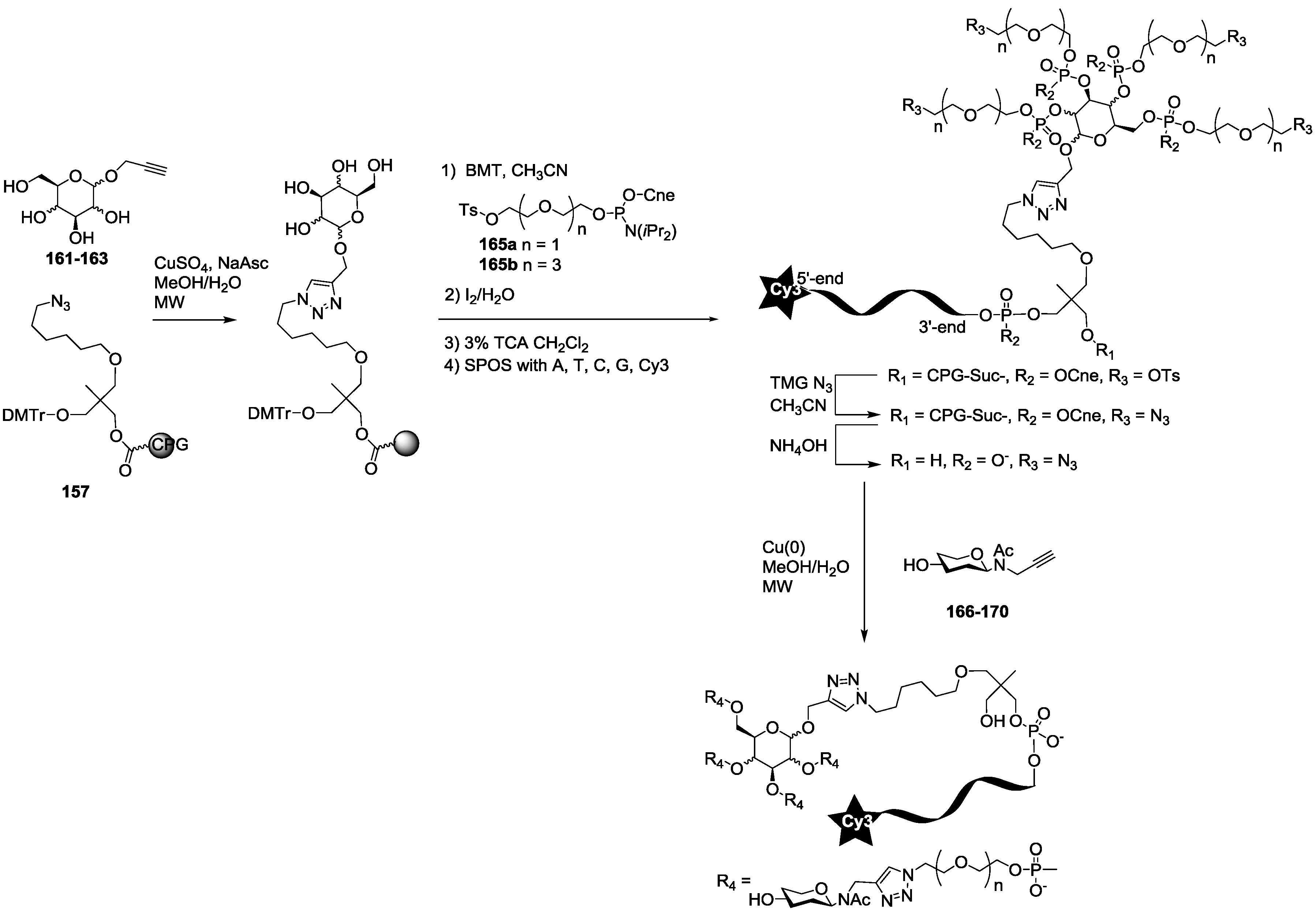 Molecules 23 03073 sch004