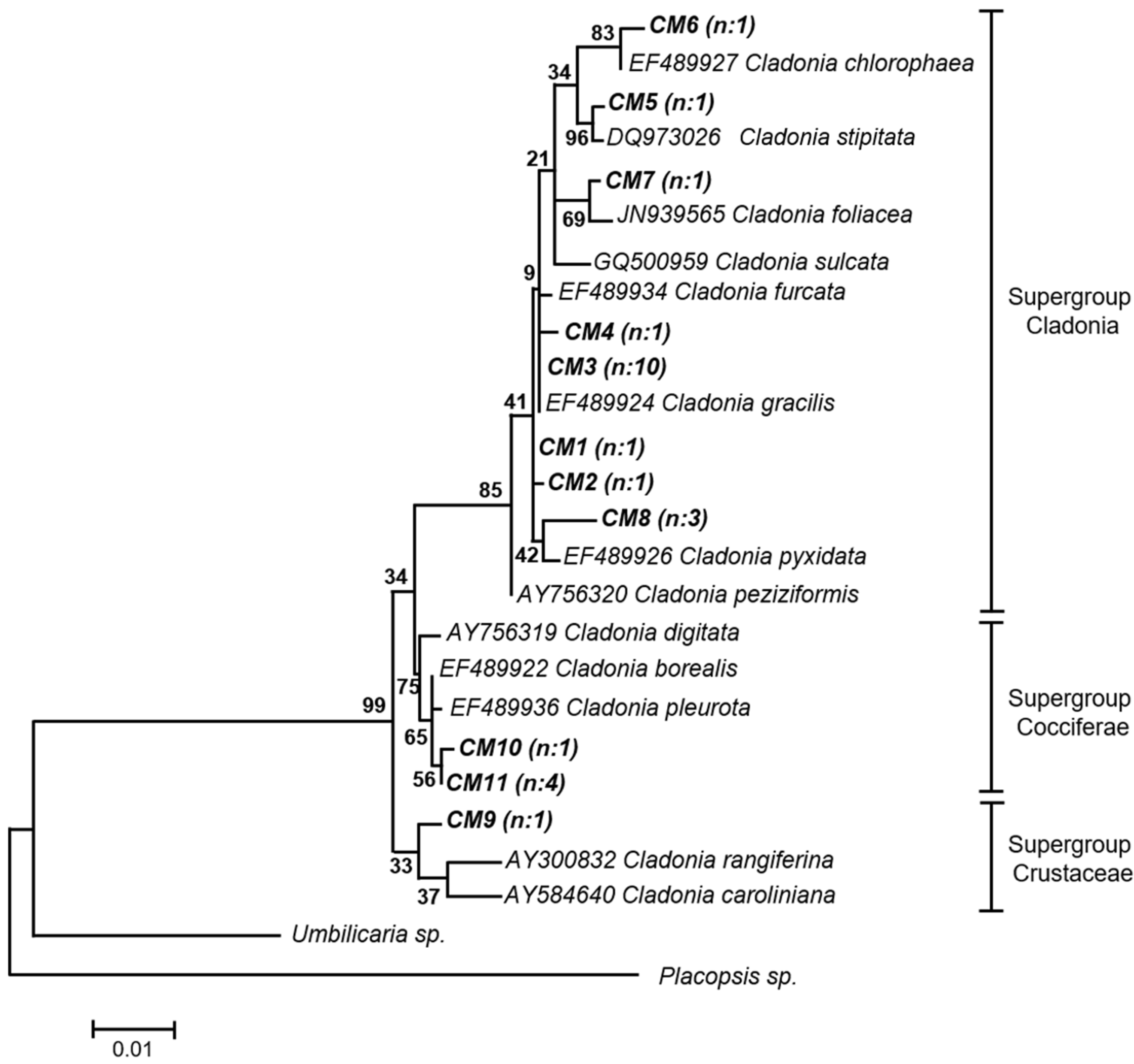Molecules 23 03077 g0a2 Molecules 23 03077 g0a2