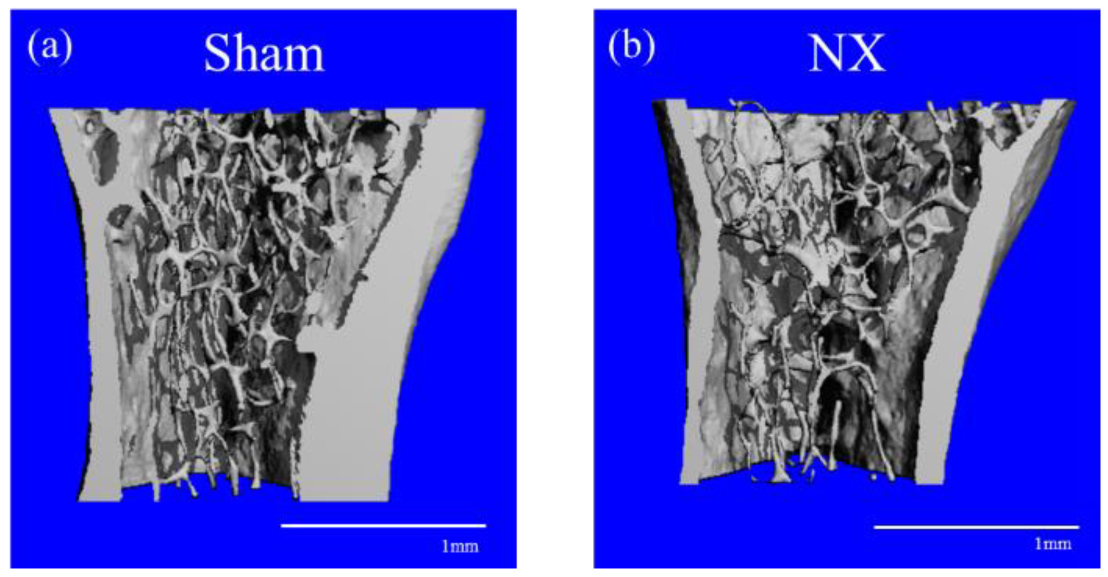 Molecules 23 03081 g005
