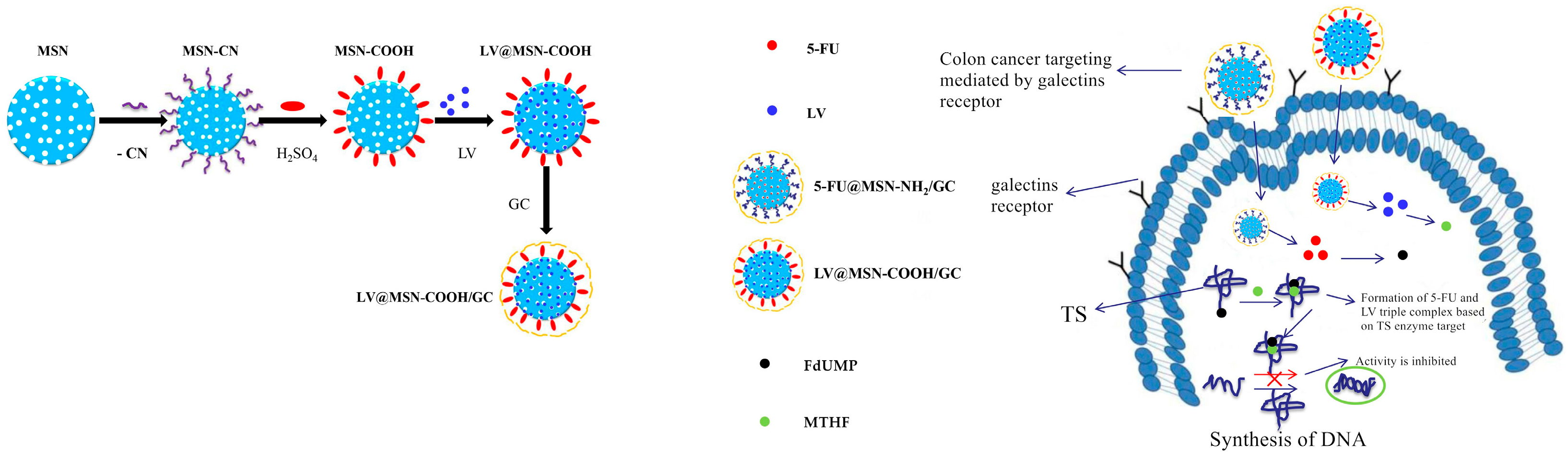 Molecules 23 03082 g001 Molecules 23 03082 g001