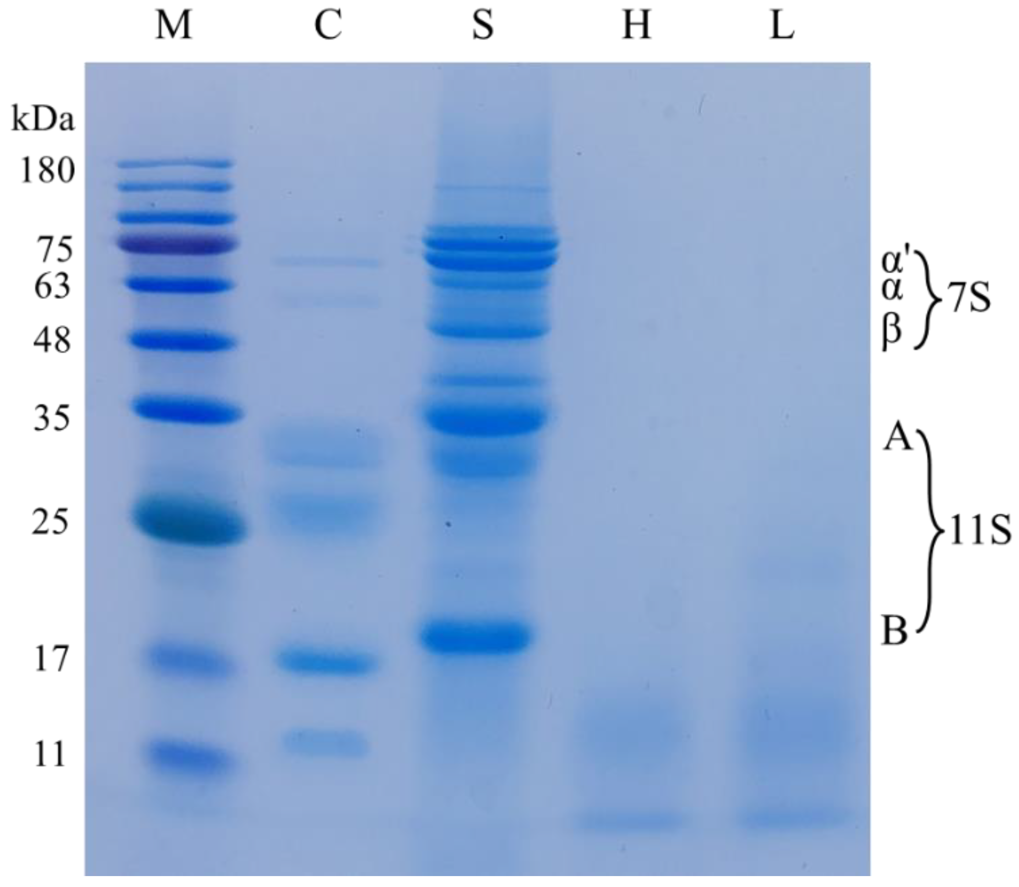 Molecules 23 03084 g001