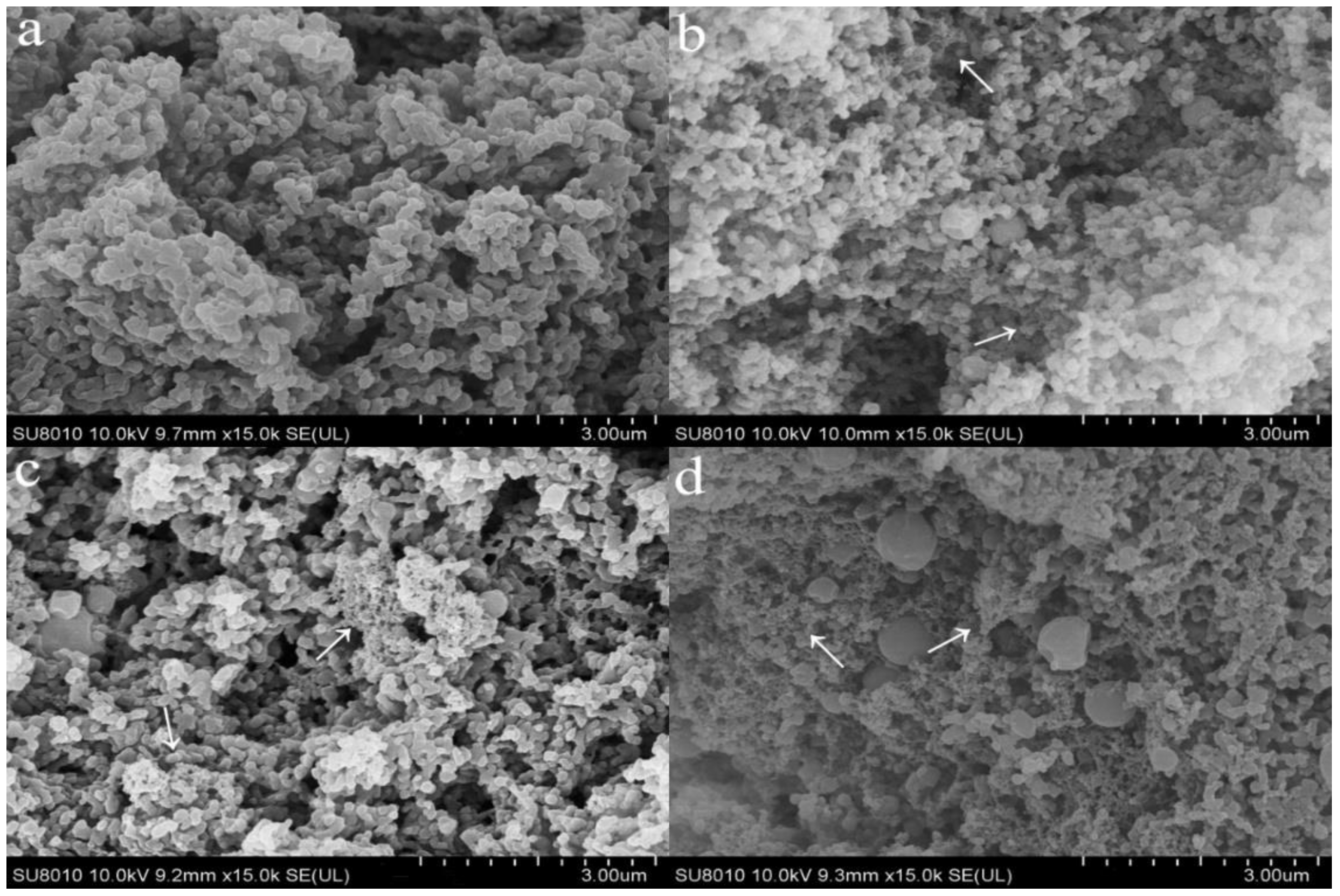 Molecules 23 03084 g003