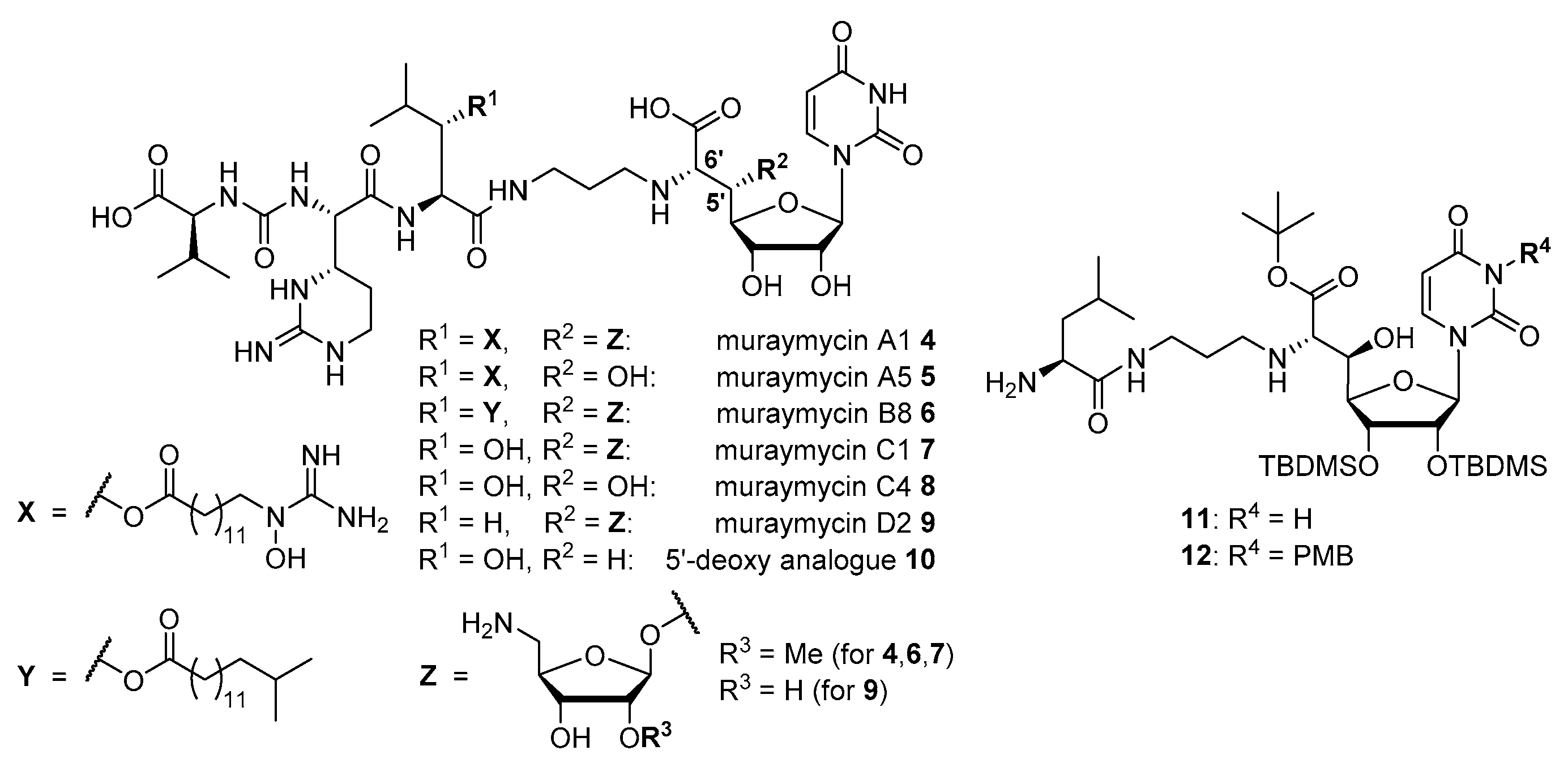 Molecules 23 03085 g001