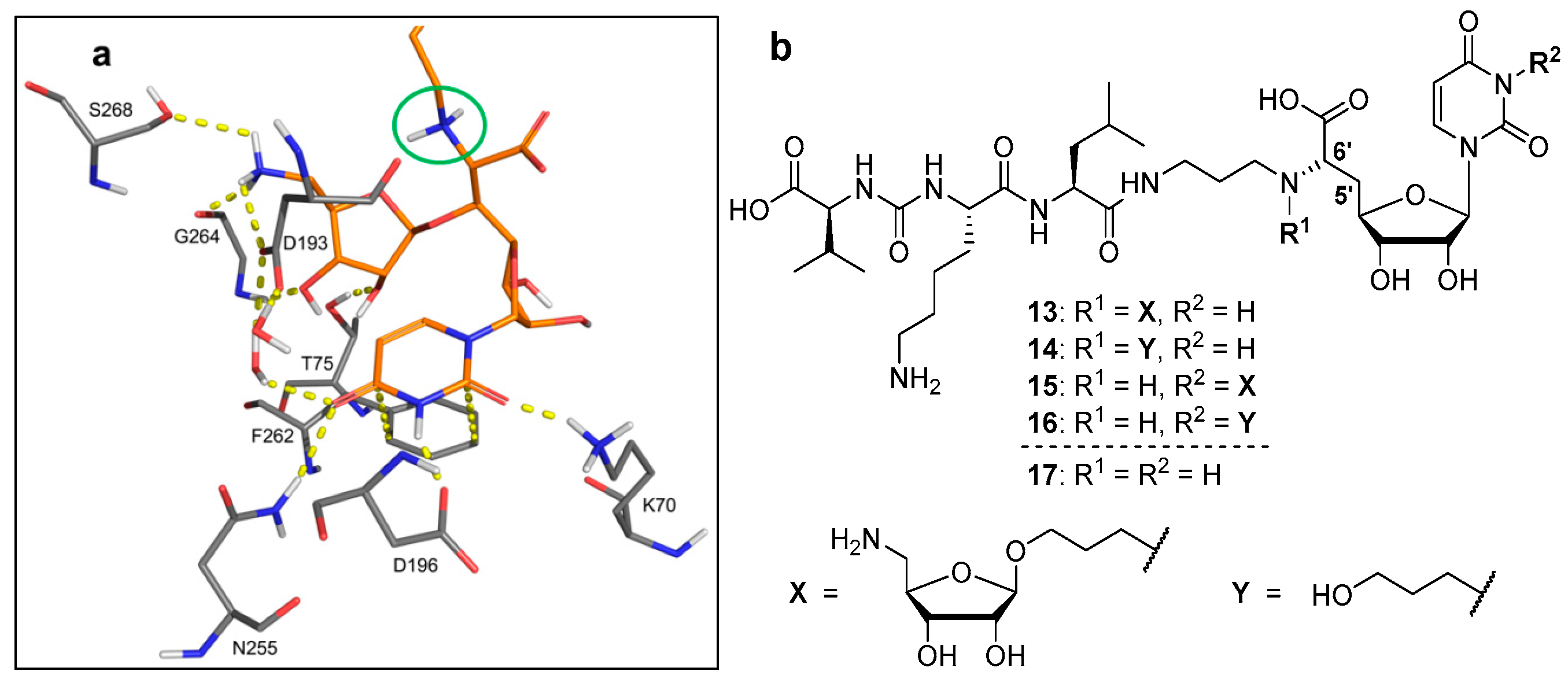 Molecules 23 03085 g002