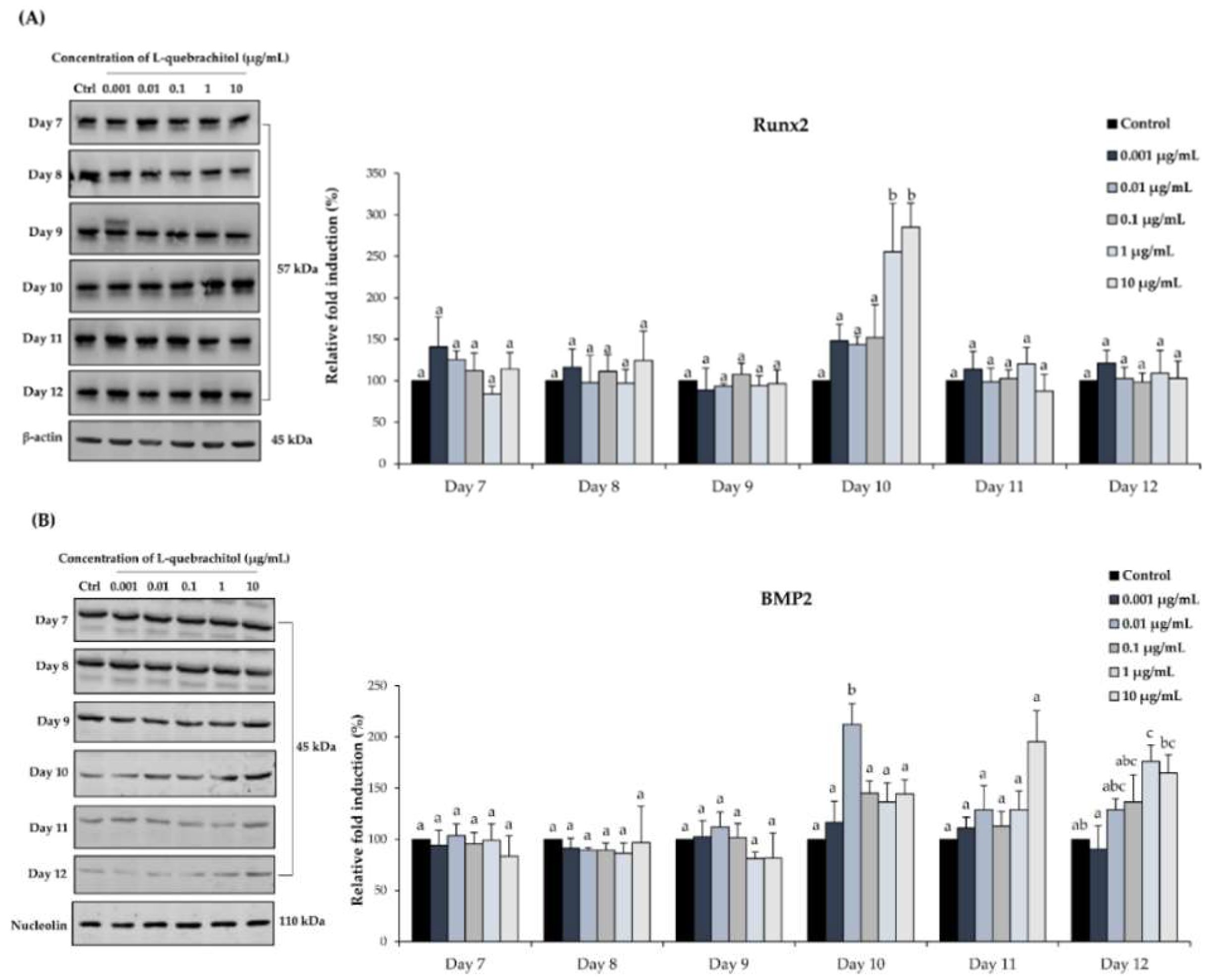 Molecules 23 03086 g008