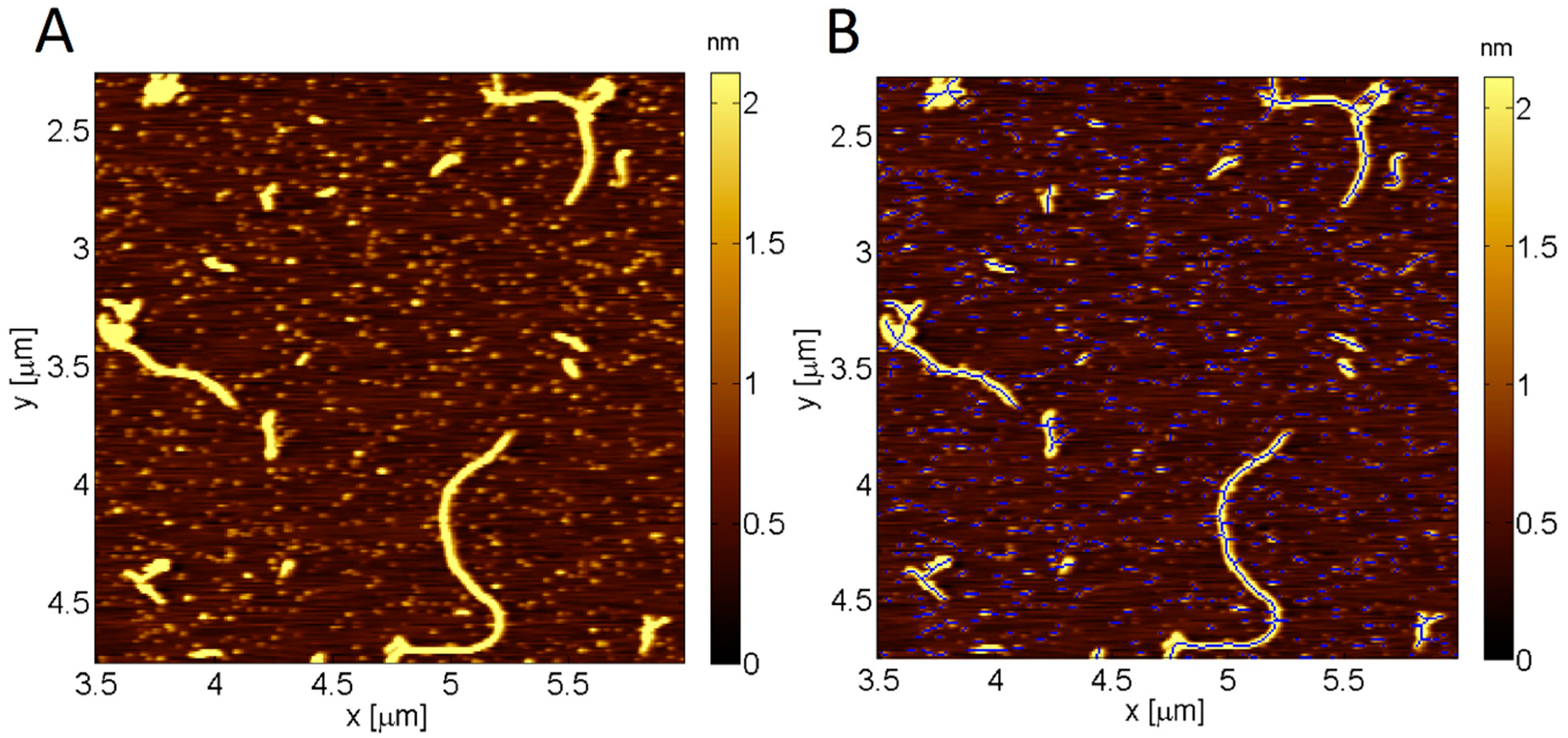 Molecules 23 03089 g004