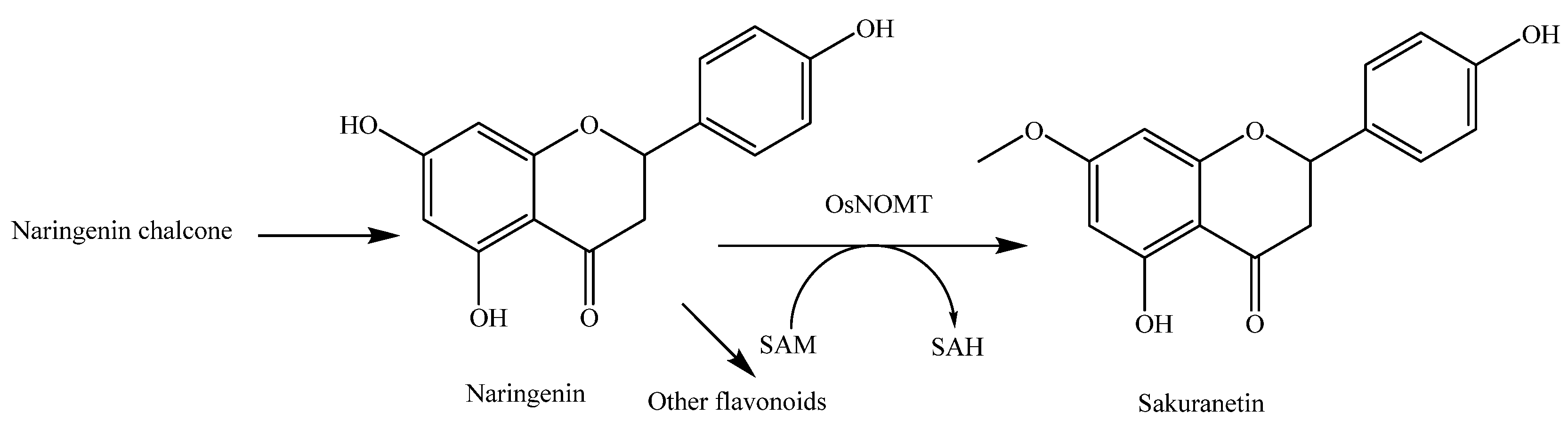 Molecules 23 03098 g011
