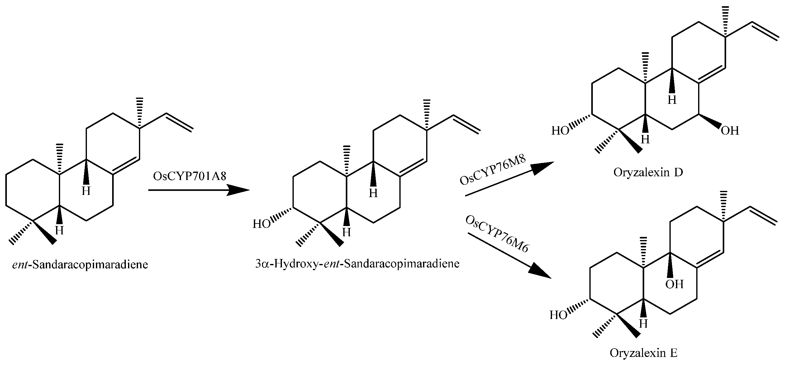 Molecules 23 03098 g013