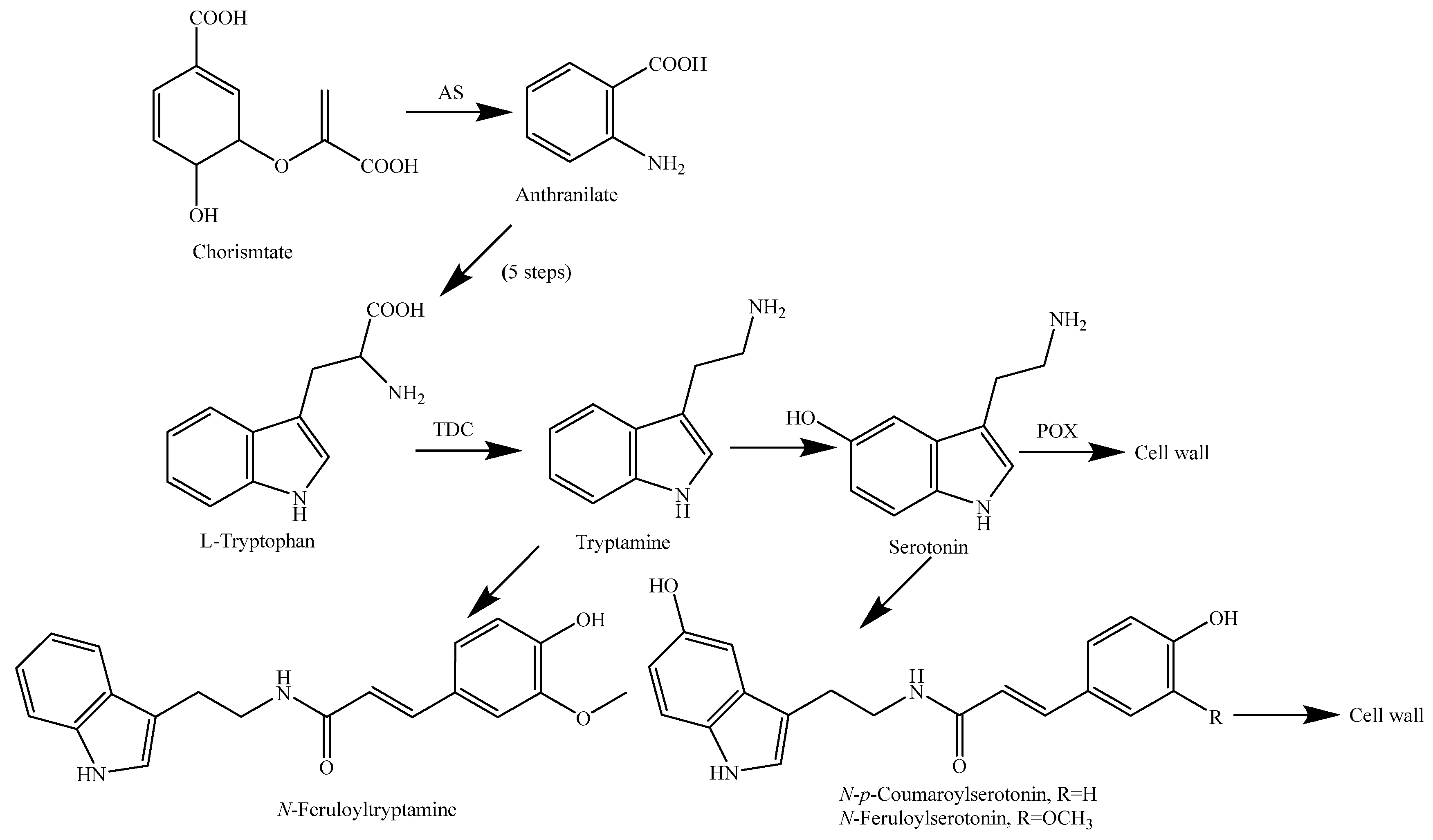 Molecules 23 03098 g016