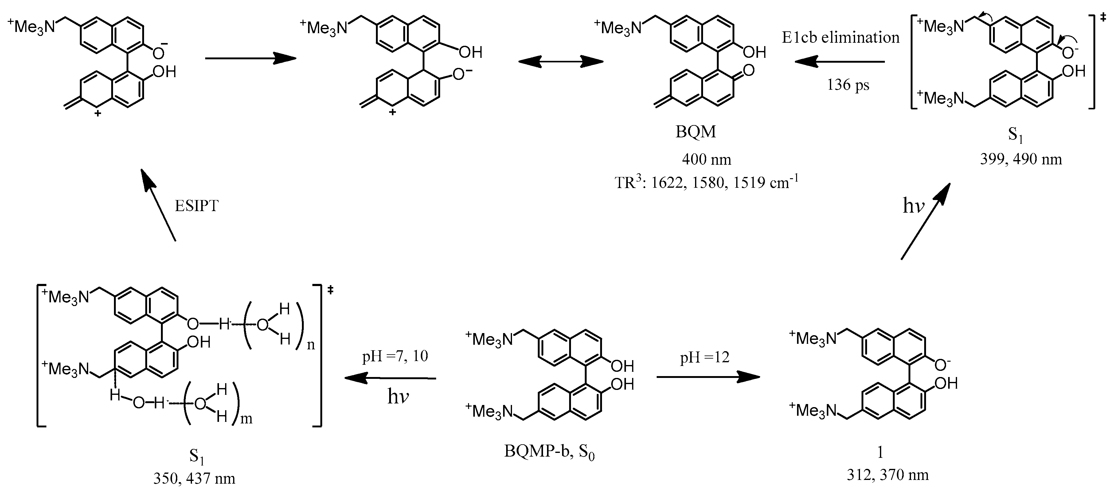 Molecules 23 03102 sch004