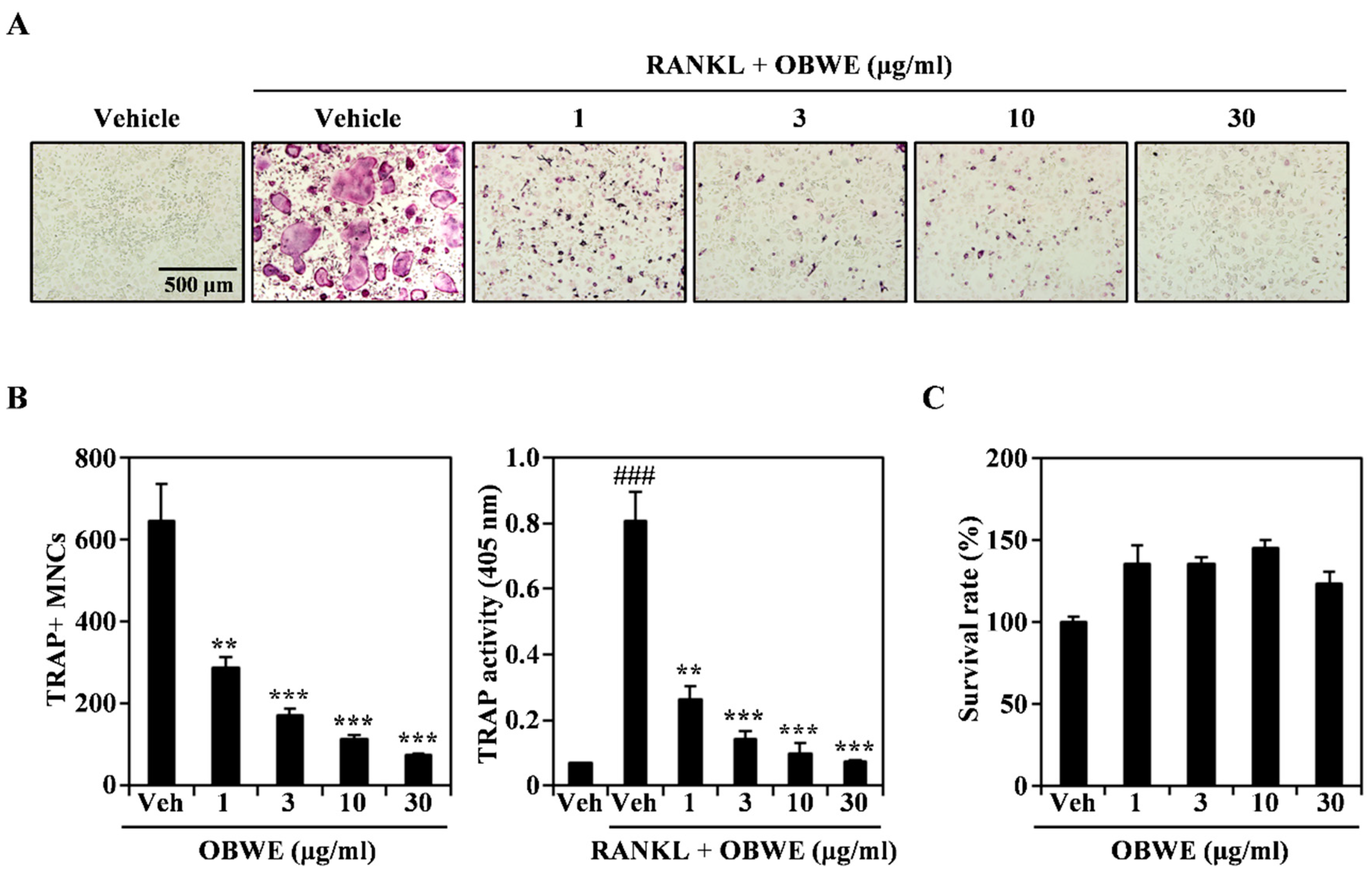 Molecules 23 03119 g001 Molecules 23 03119 g001