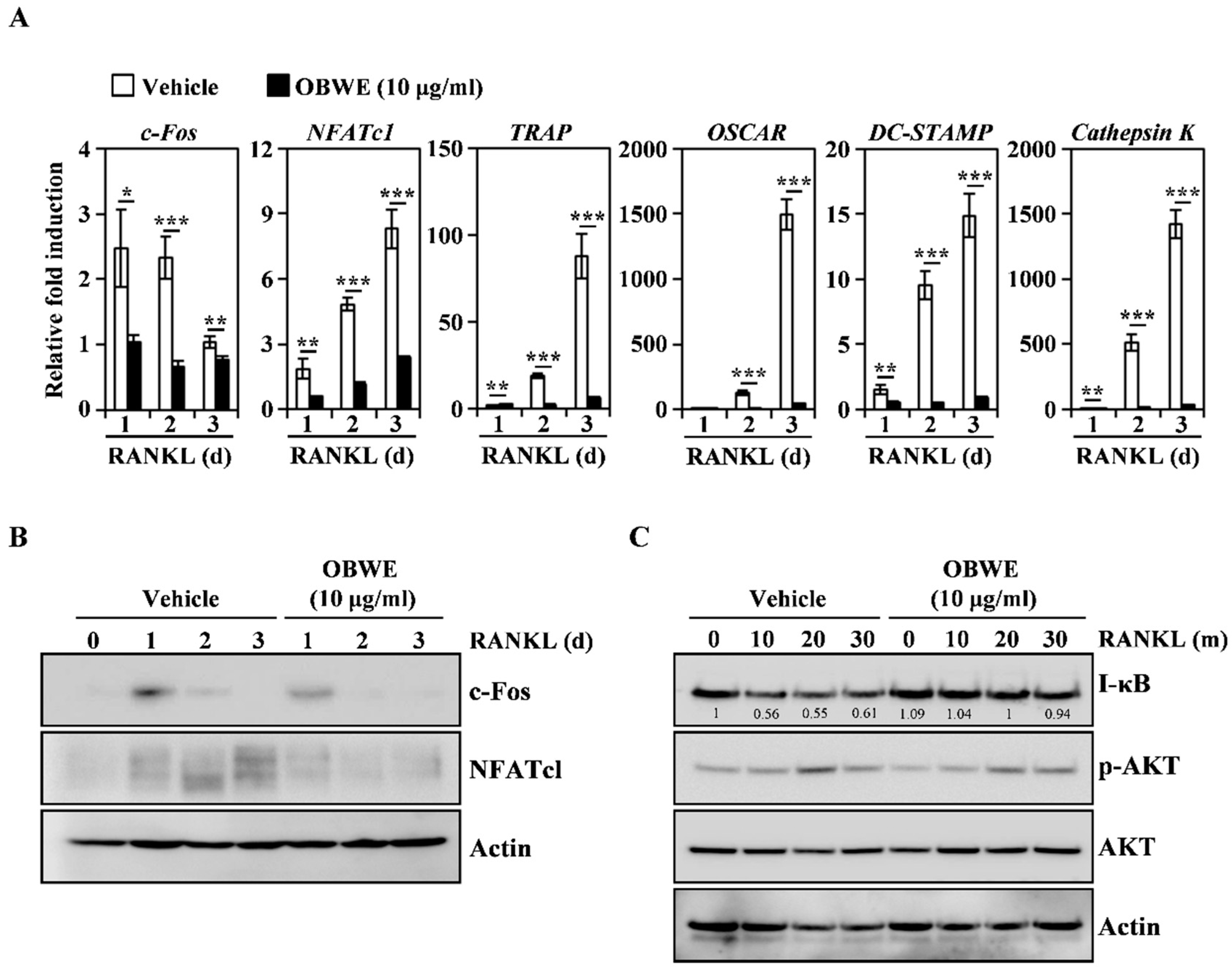 Molecules 23 03119 g002 Molecules 23 03119 g002