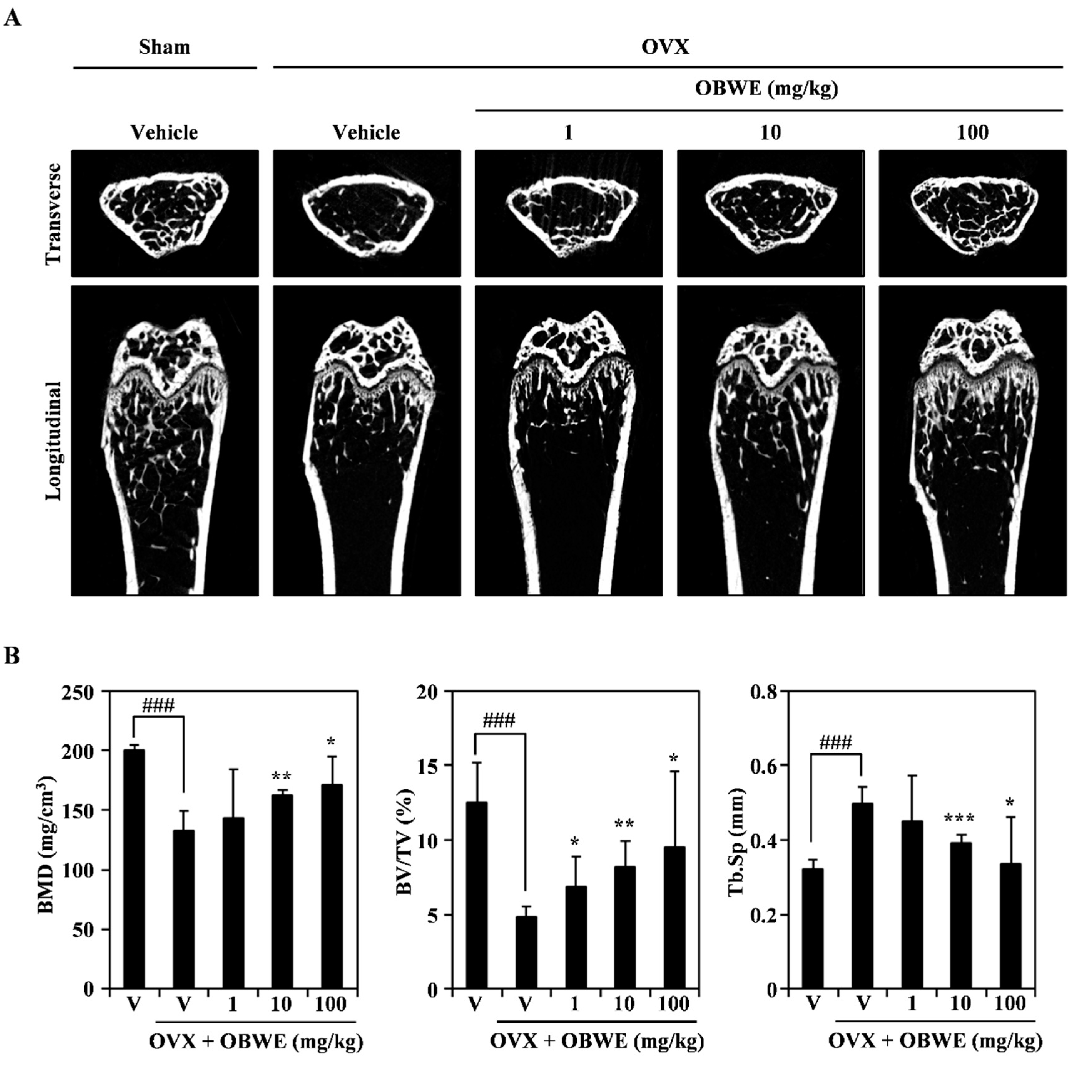 Molecules 23 03119 g006 Molecules 23 03119 g006