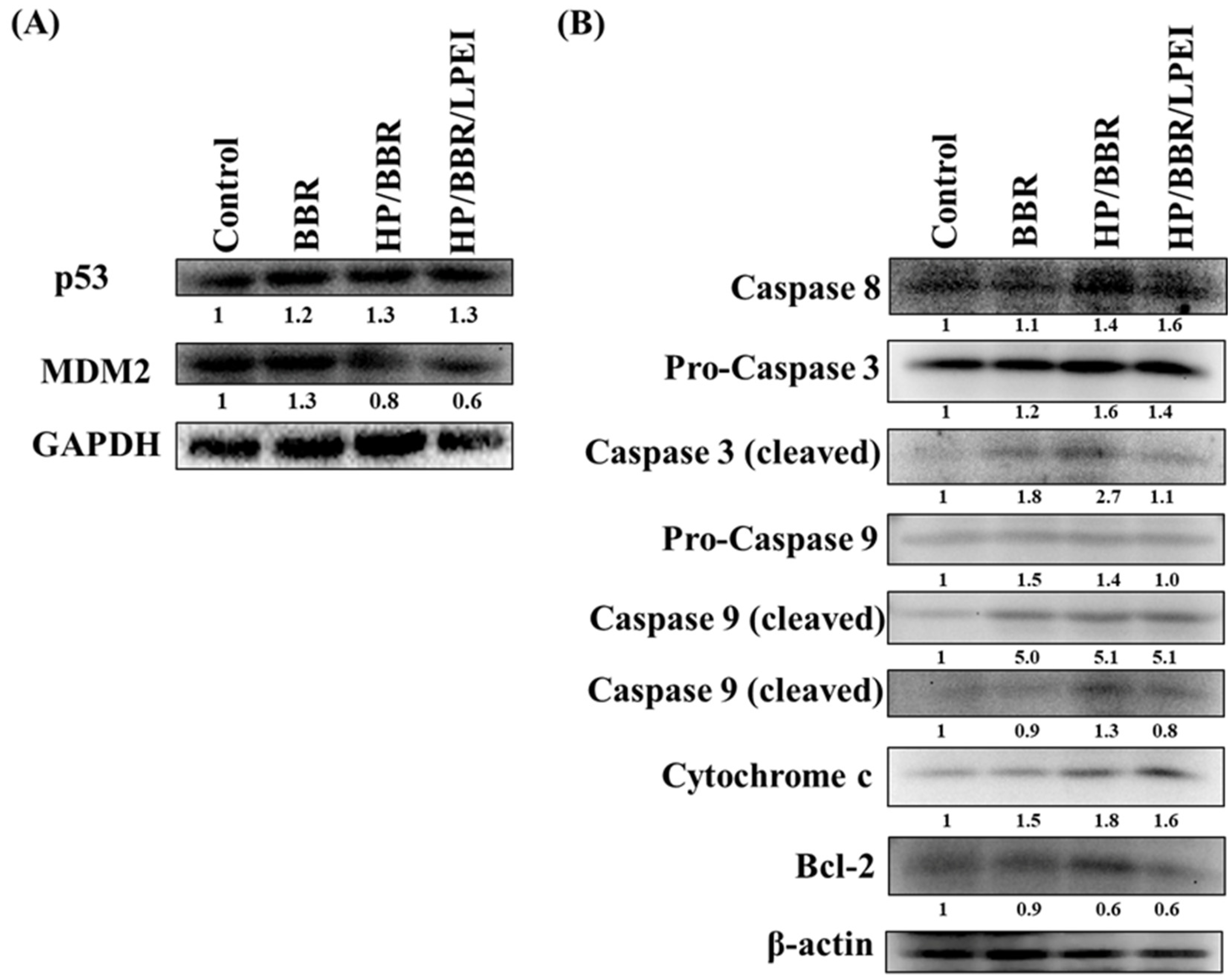 Molecules 23 03121 g007
