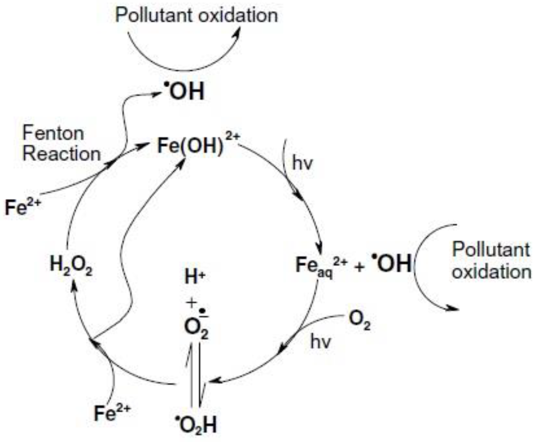 Molecules 23 03127 g004 Molecules 23 03127 g004