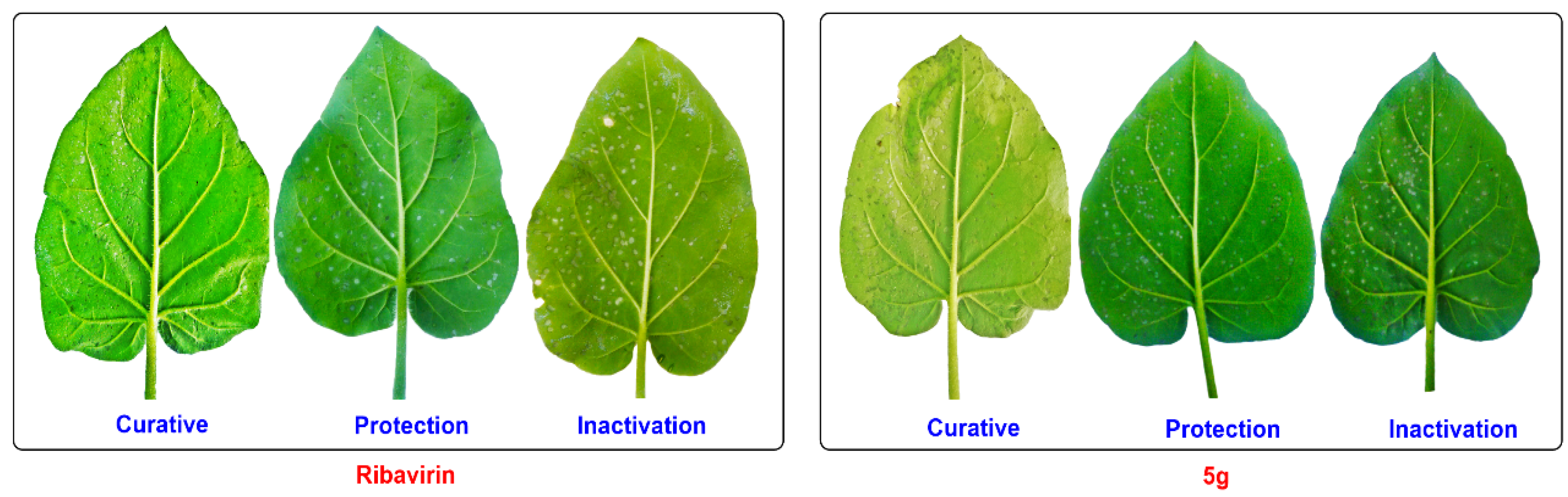 Molecules 23 03132 g002
