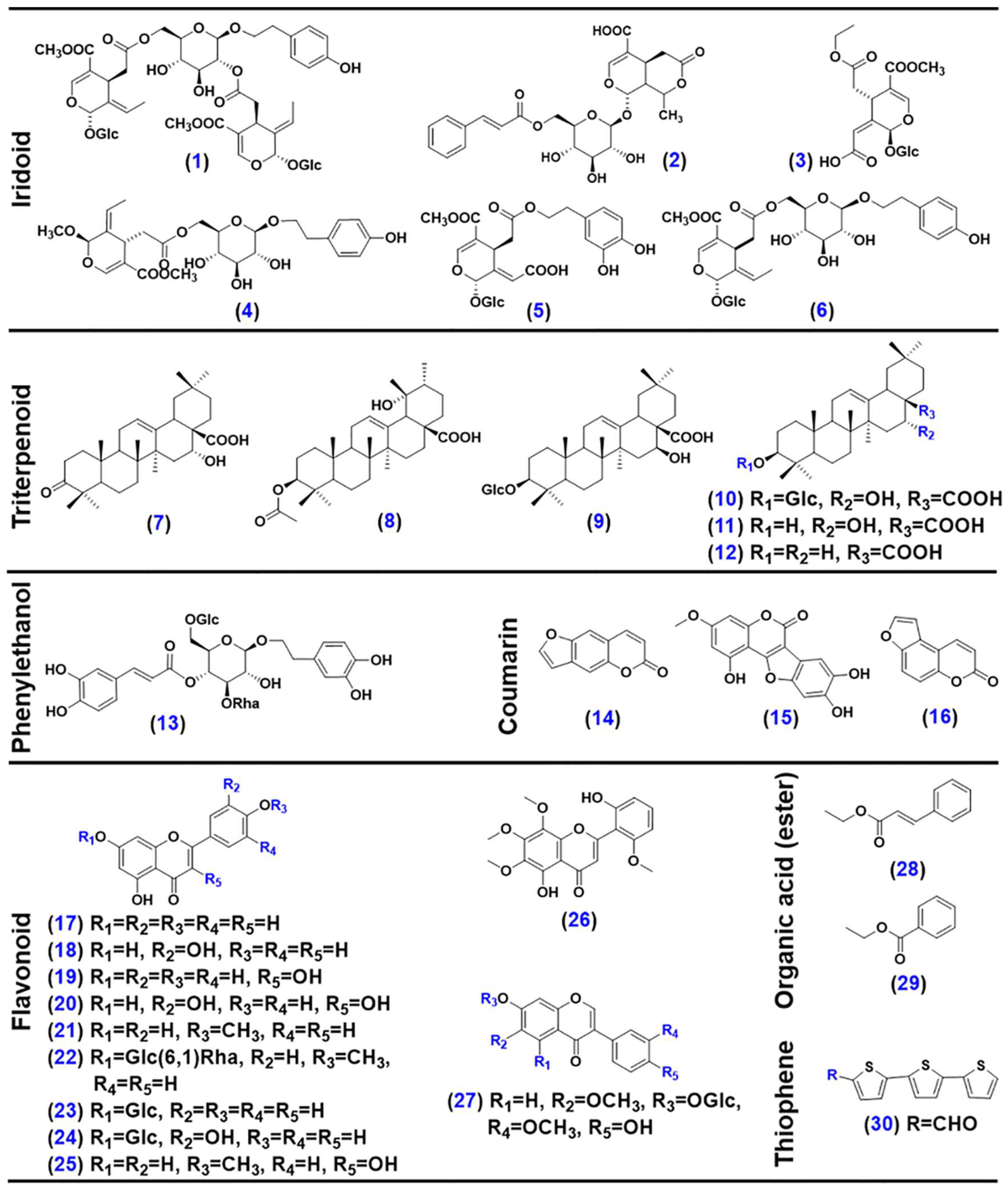 アルティメット様1/2 Systematic Profiling of the Multicomponents and