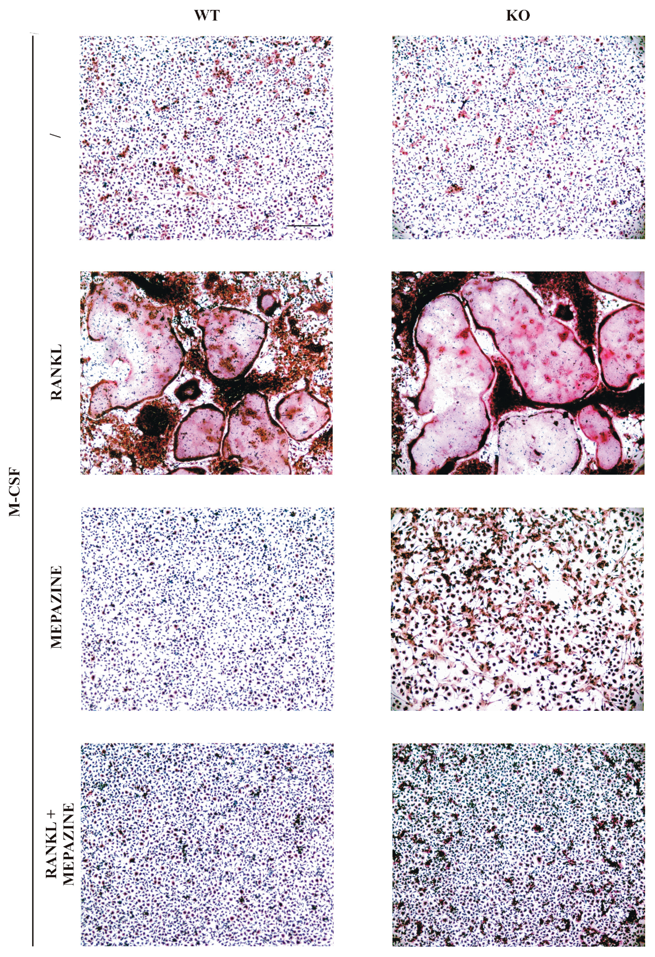 Molecules 23 03144 g001 Molecules 23 03144 g001