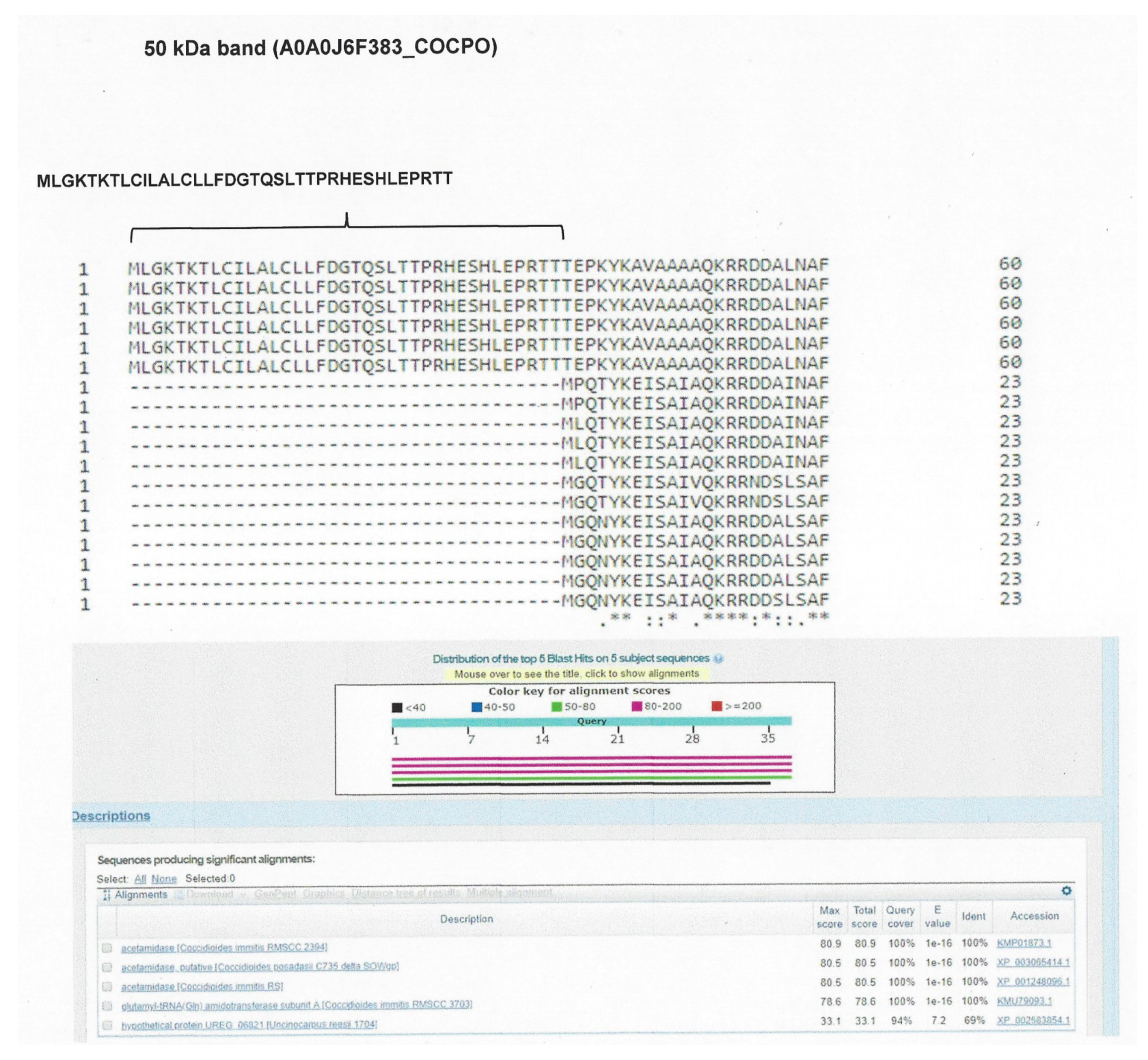 Molecules 23 03145 g005 Molecules 23 03145 g005
