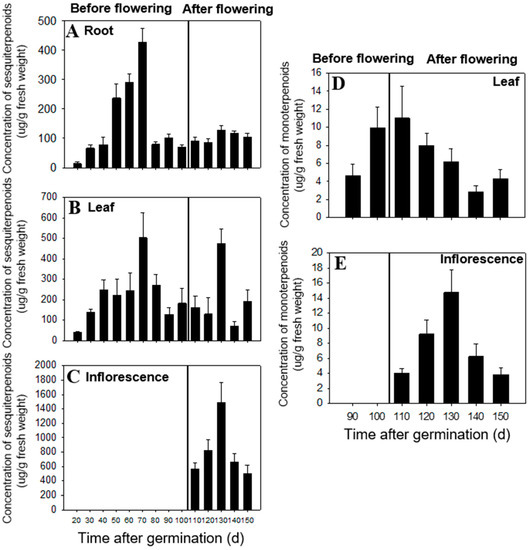Molecules Free FullText Terpenoids from Weedy