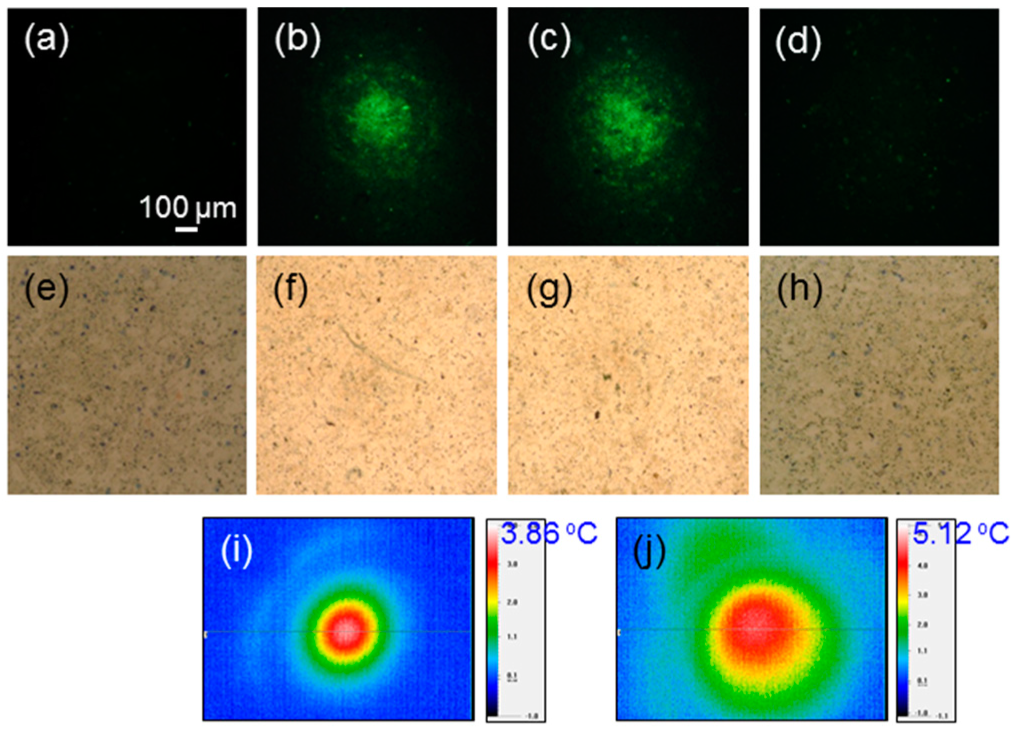 Molecules 23 03157 g003
