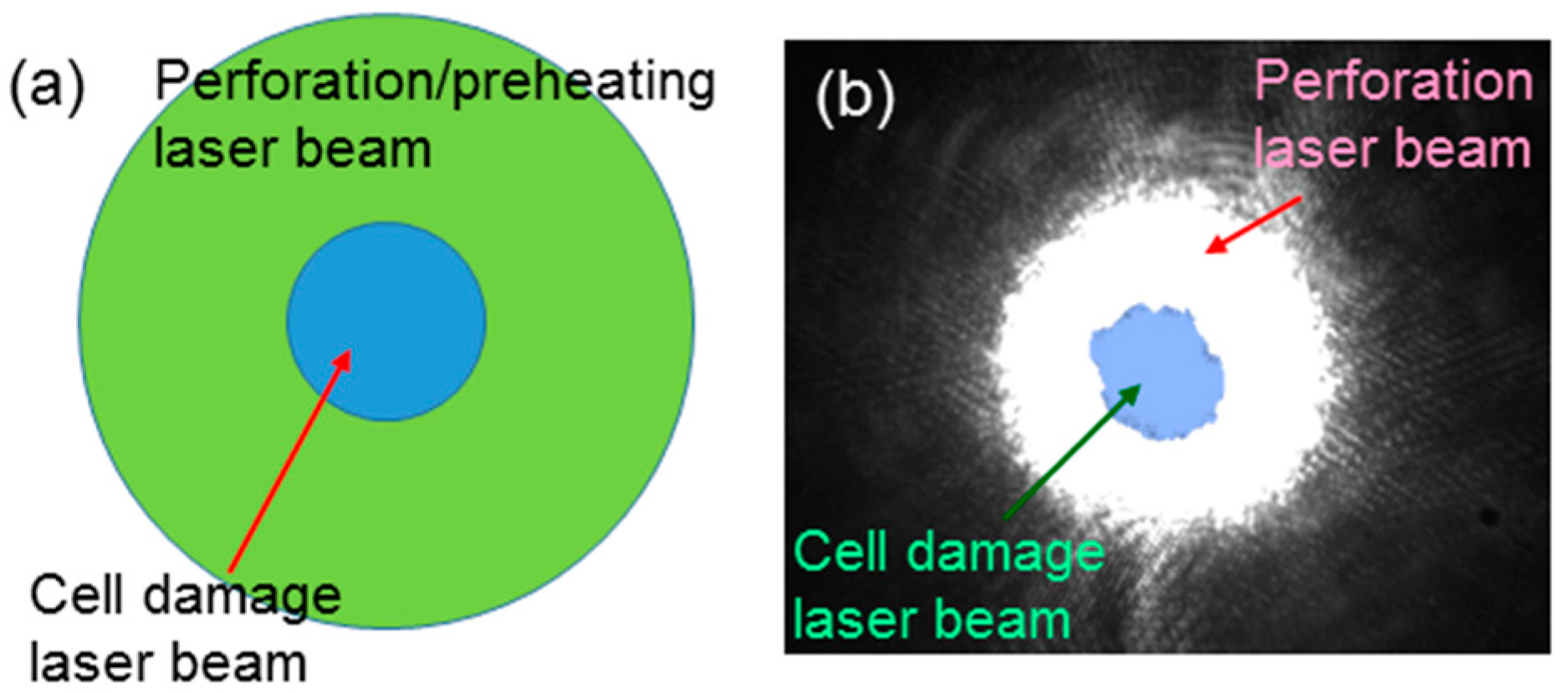 Molecules 23 03157 g004