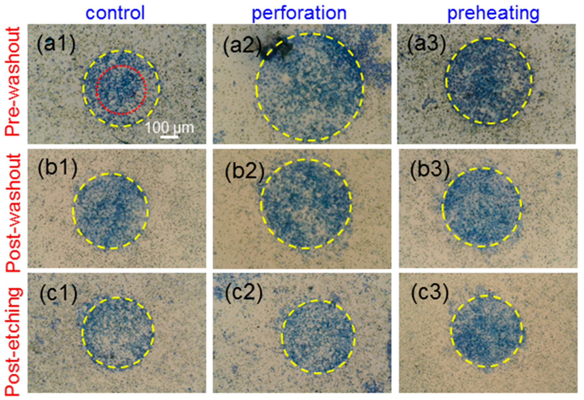 Molecules 23 03157 g007