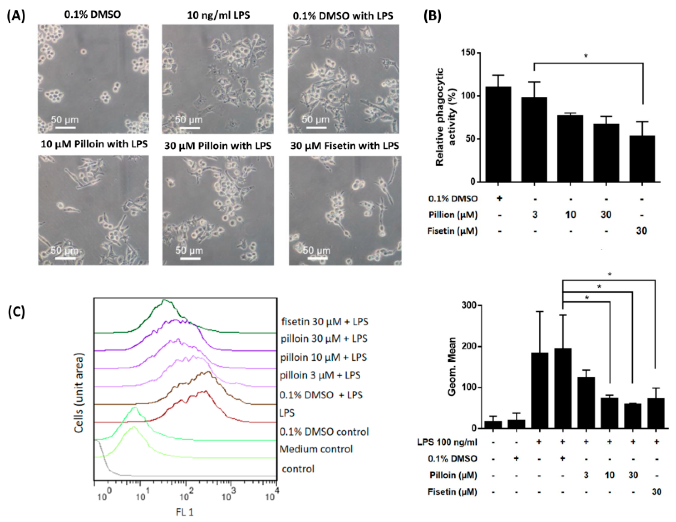 Molecules 23 03177 g004