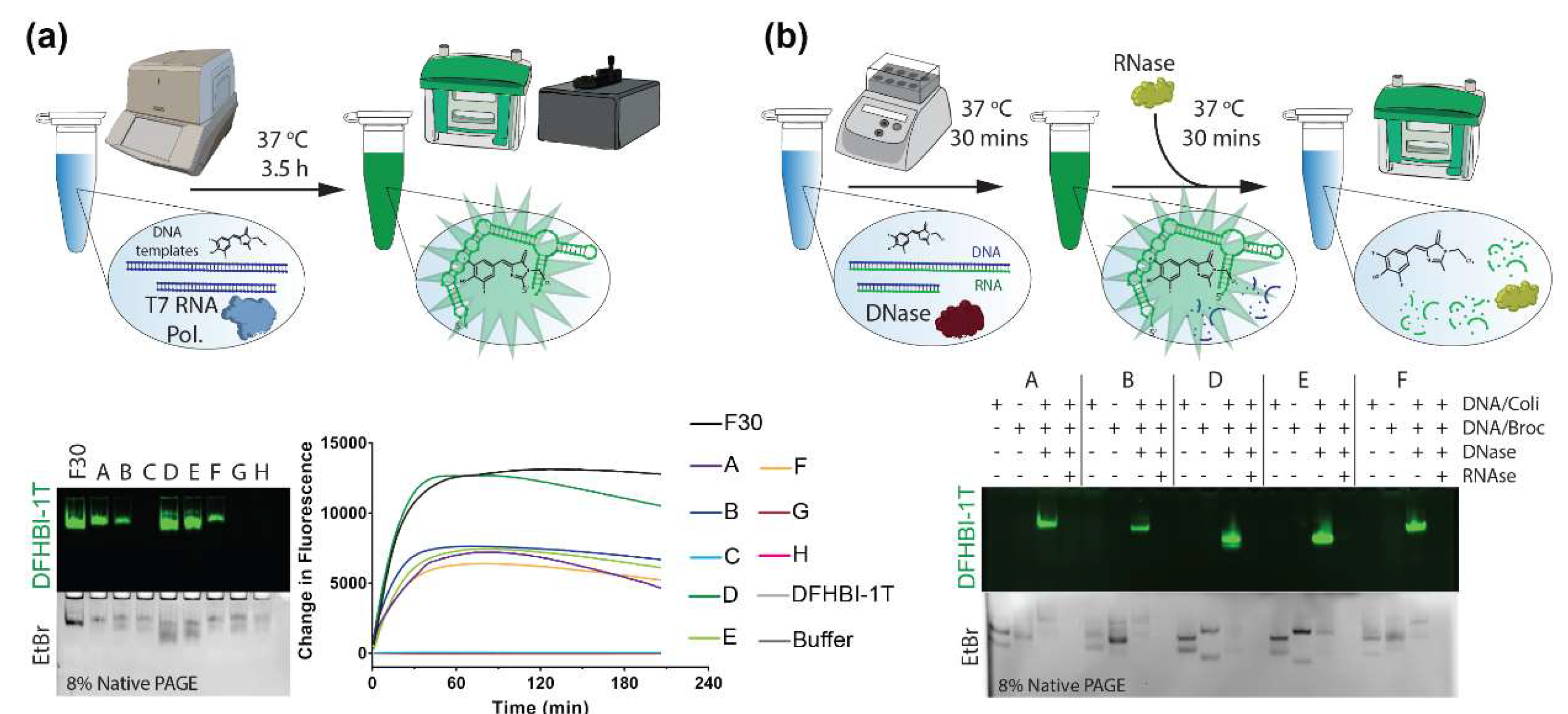 Molecules 23 03178 g002 Molecules 23 03178 g002