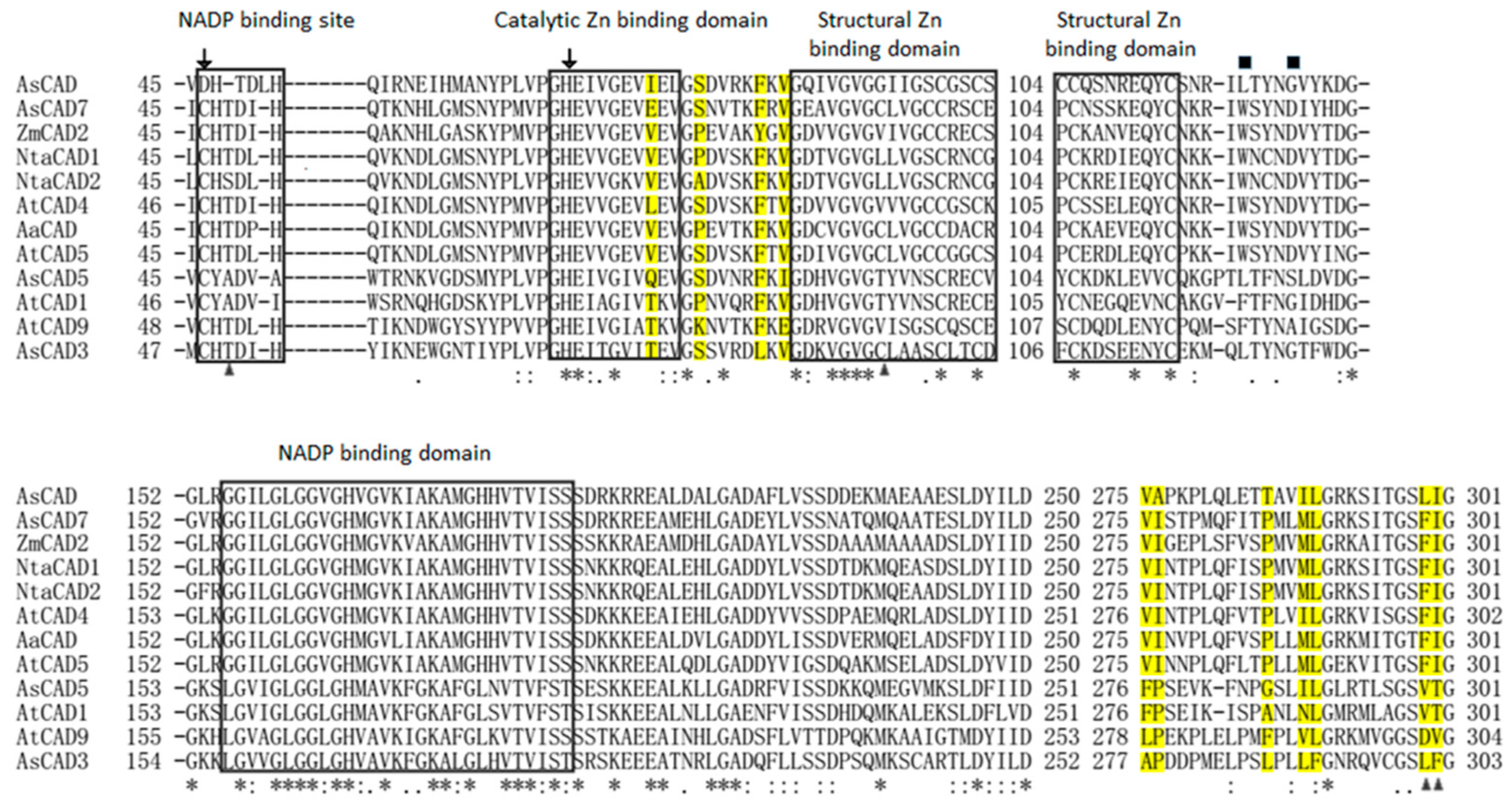 Molecules 23 03184 g006