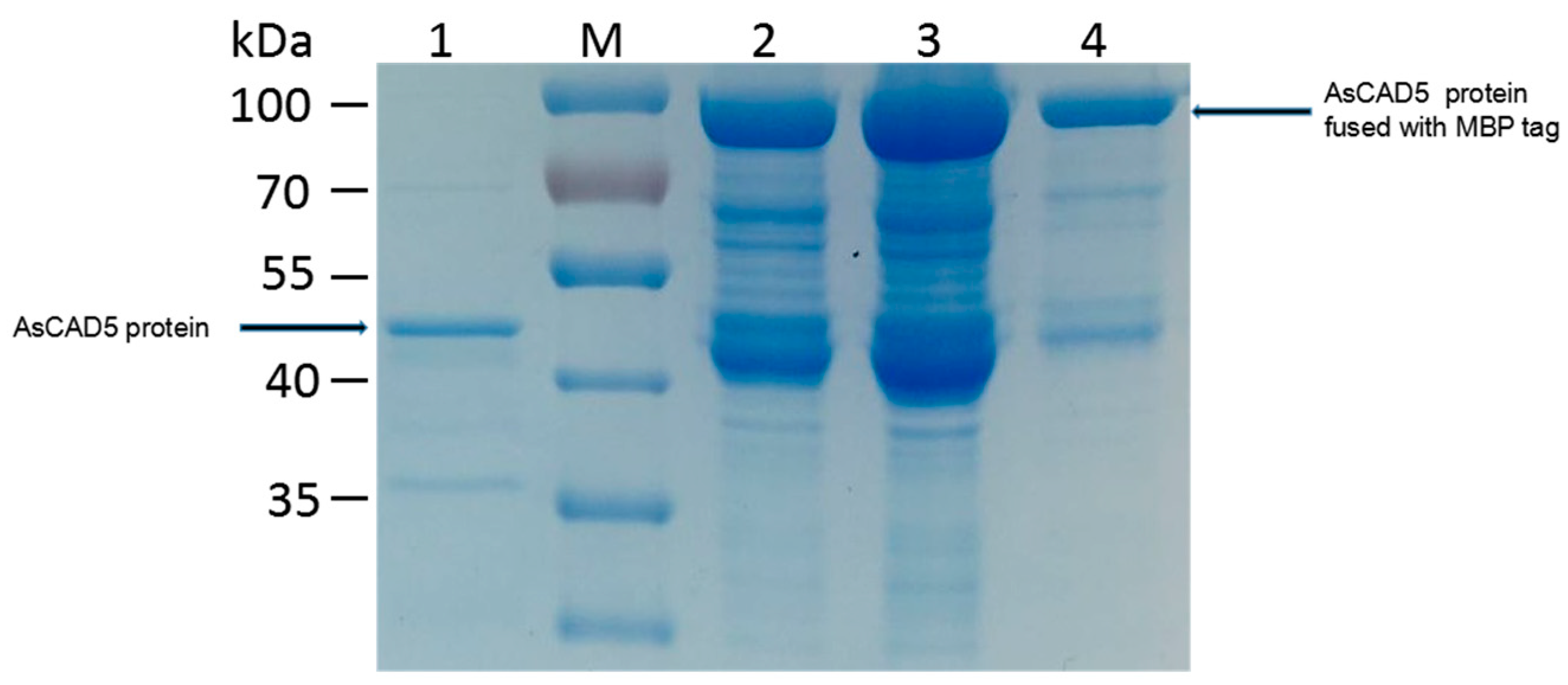 Molecules 23 03184 g008
