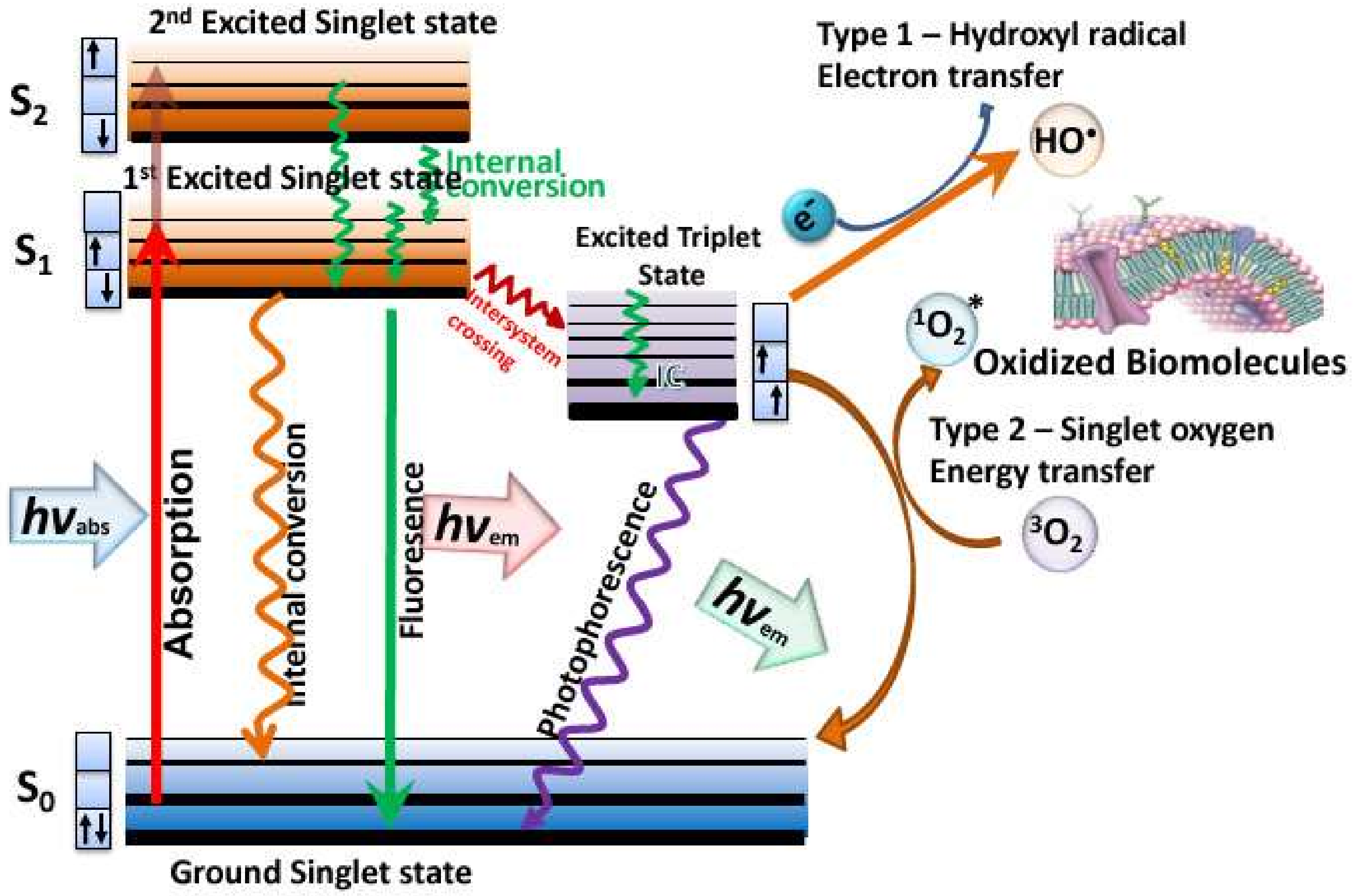 Molecules 23 03190 g001 550