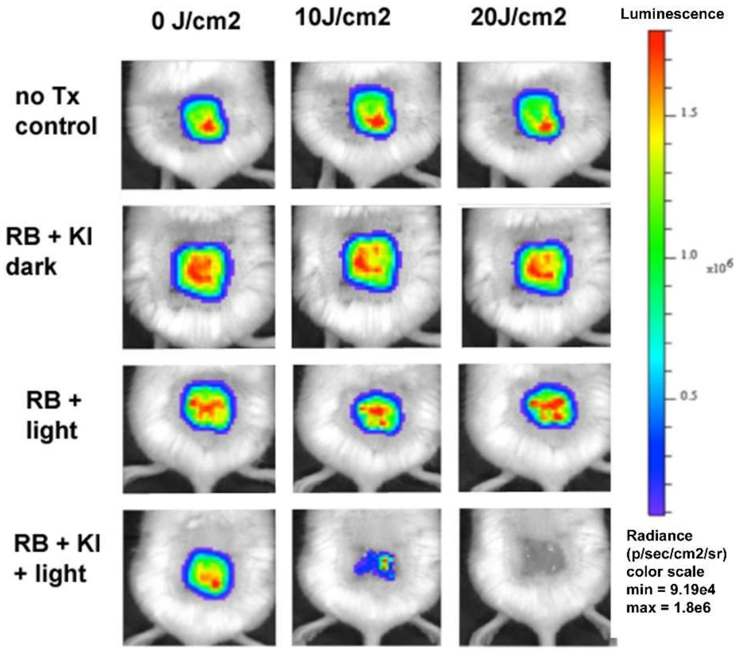 Molecules 23 03190 g010 550
