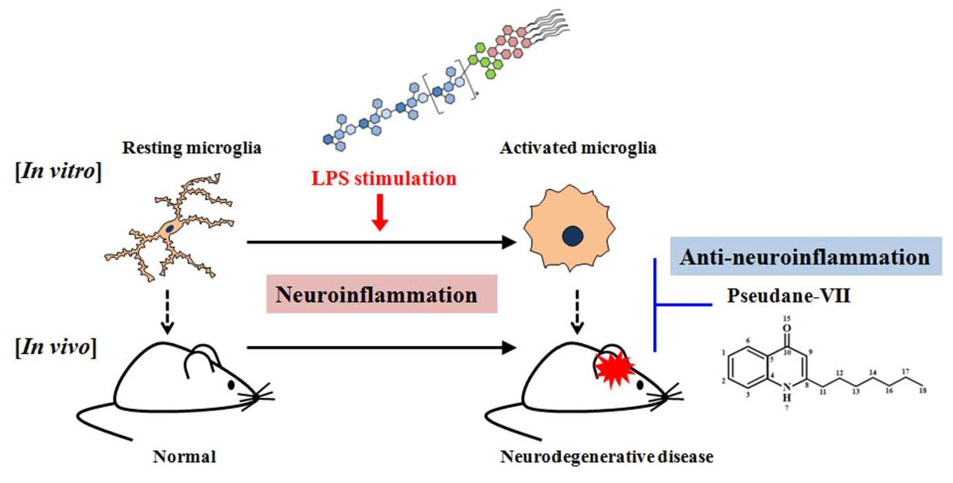 Parkinsons Disease Progression >> Molecules | Free Full-Text | Pseudane-VII Regulates LPS ... Parkinsons Disease Progression >> Molecules | Free Full-Text | Pseudane-VII Regulates LPS ...