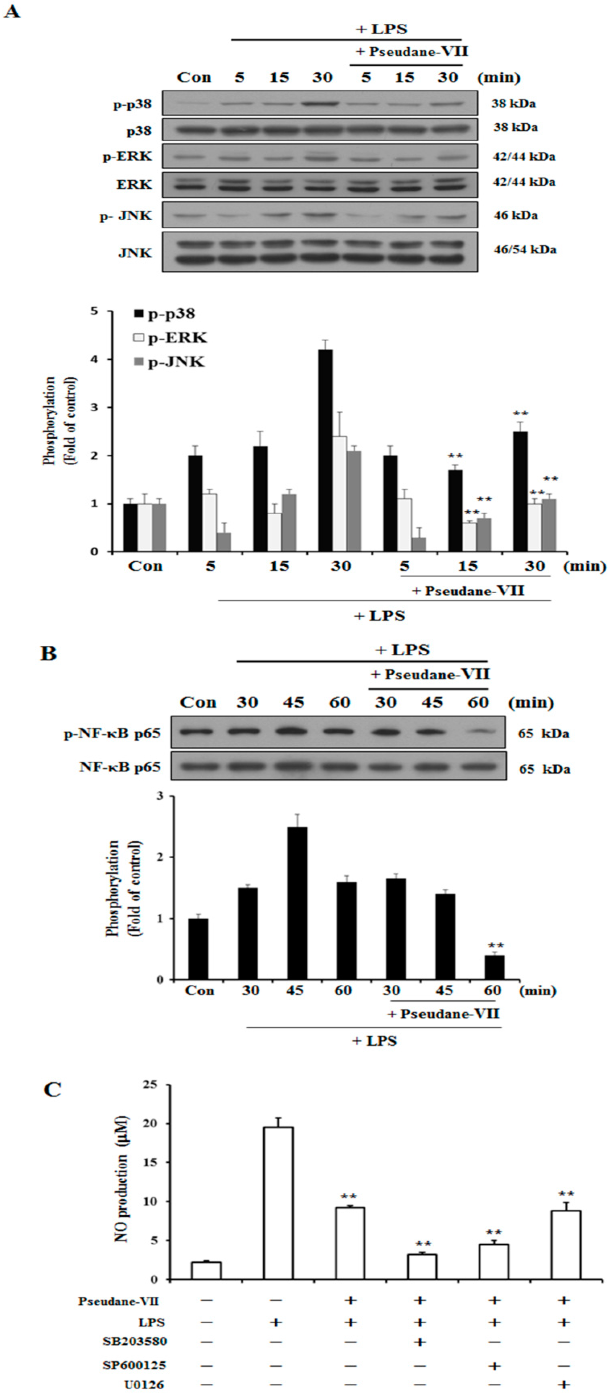 Molecules 23 03196 g005 Molecules 23 03196 g005