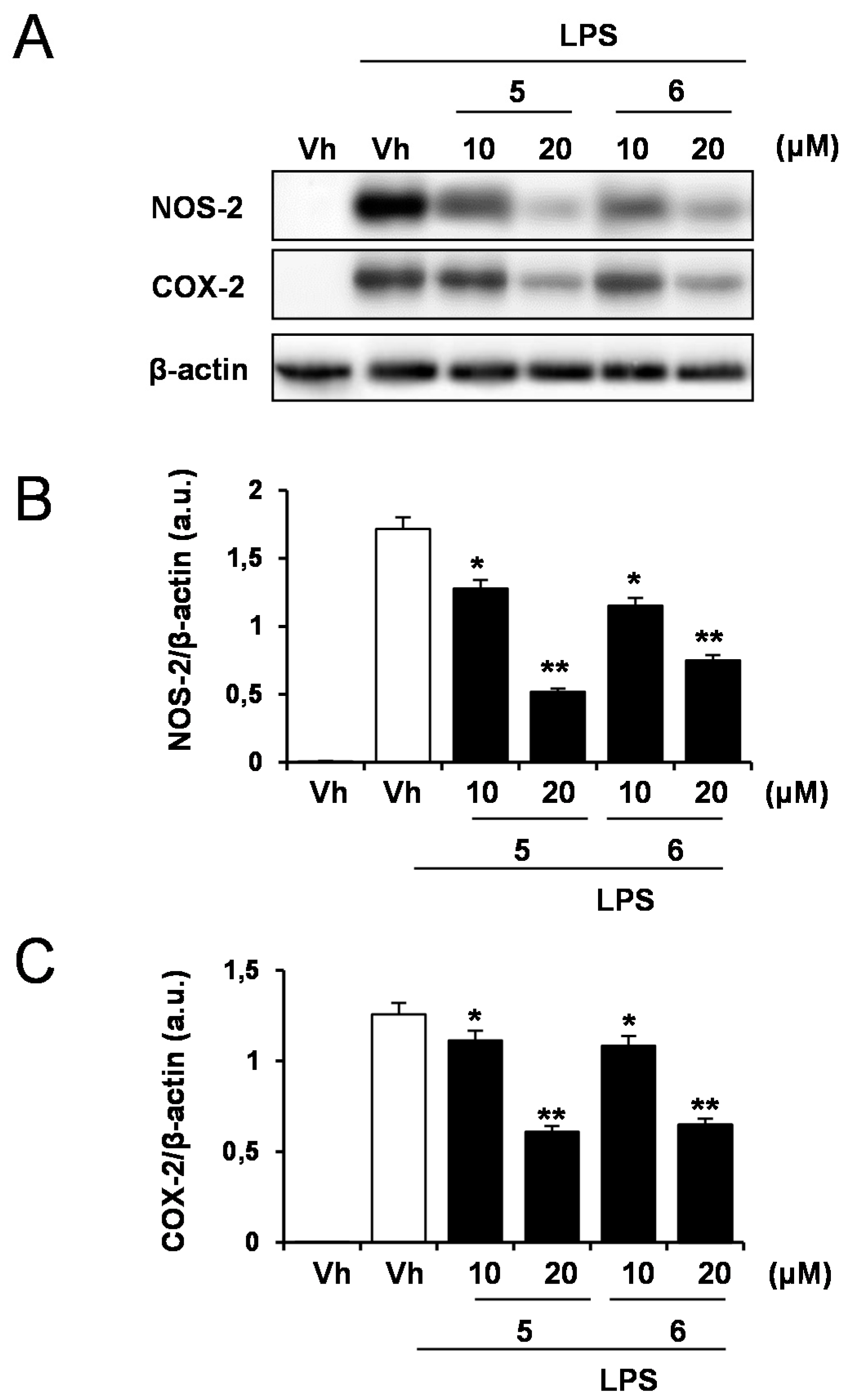 Molecules 23 03197 g004 Molecules 23 03197 g004