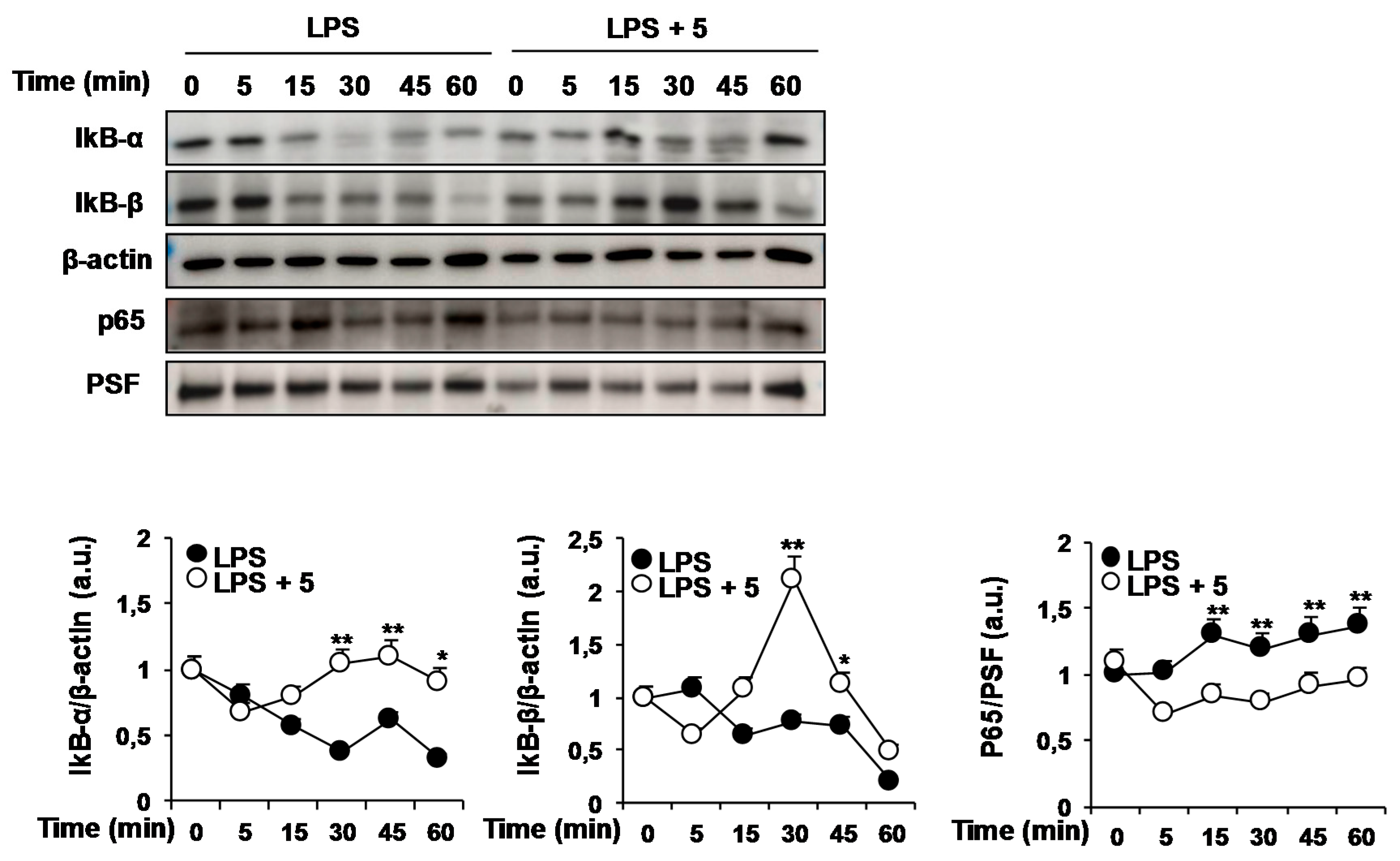 Molecules 23 03197 g006 Molecules 23 03197 g006