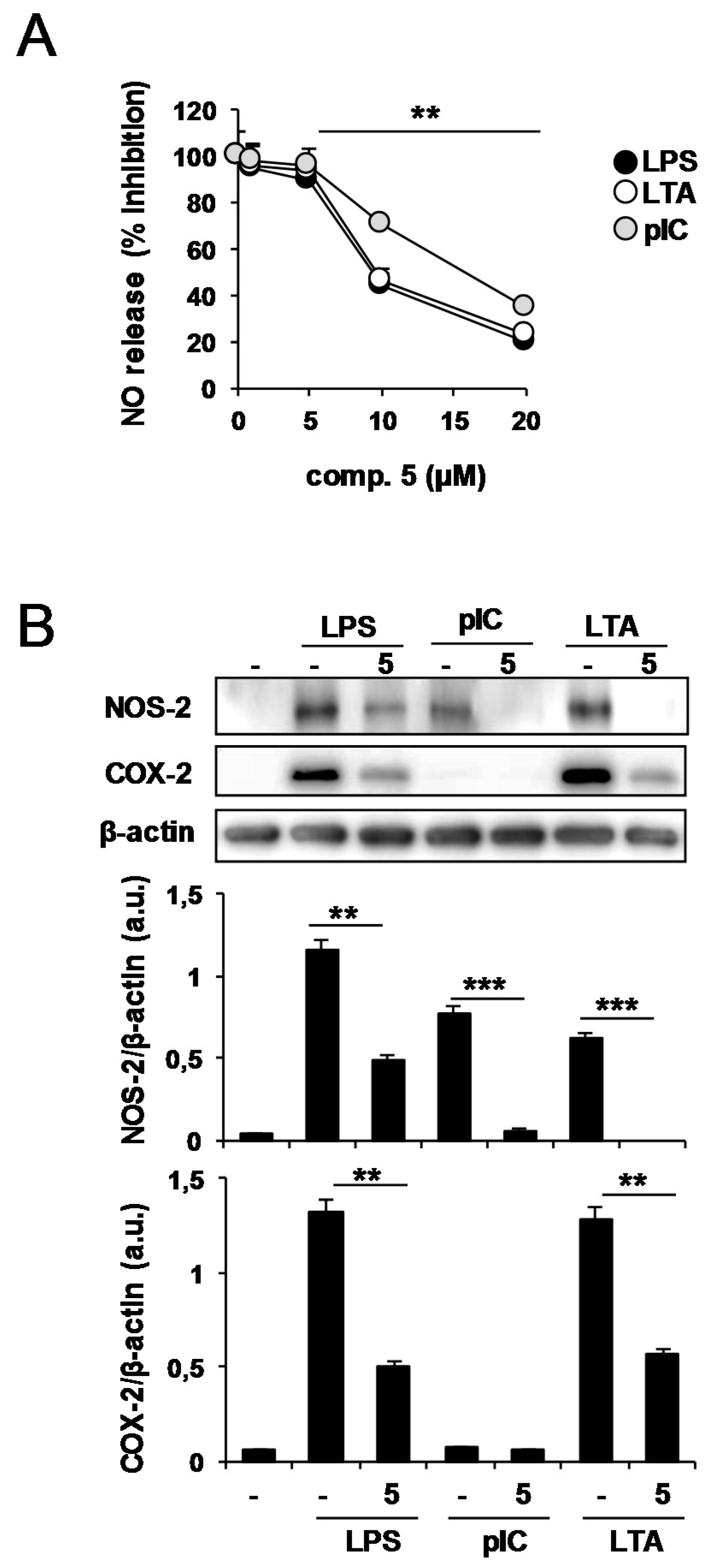 Molecules 23 03197 g008 Molecules 23 03197 g008