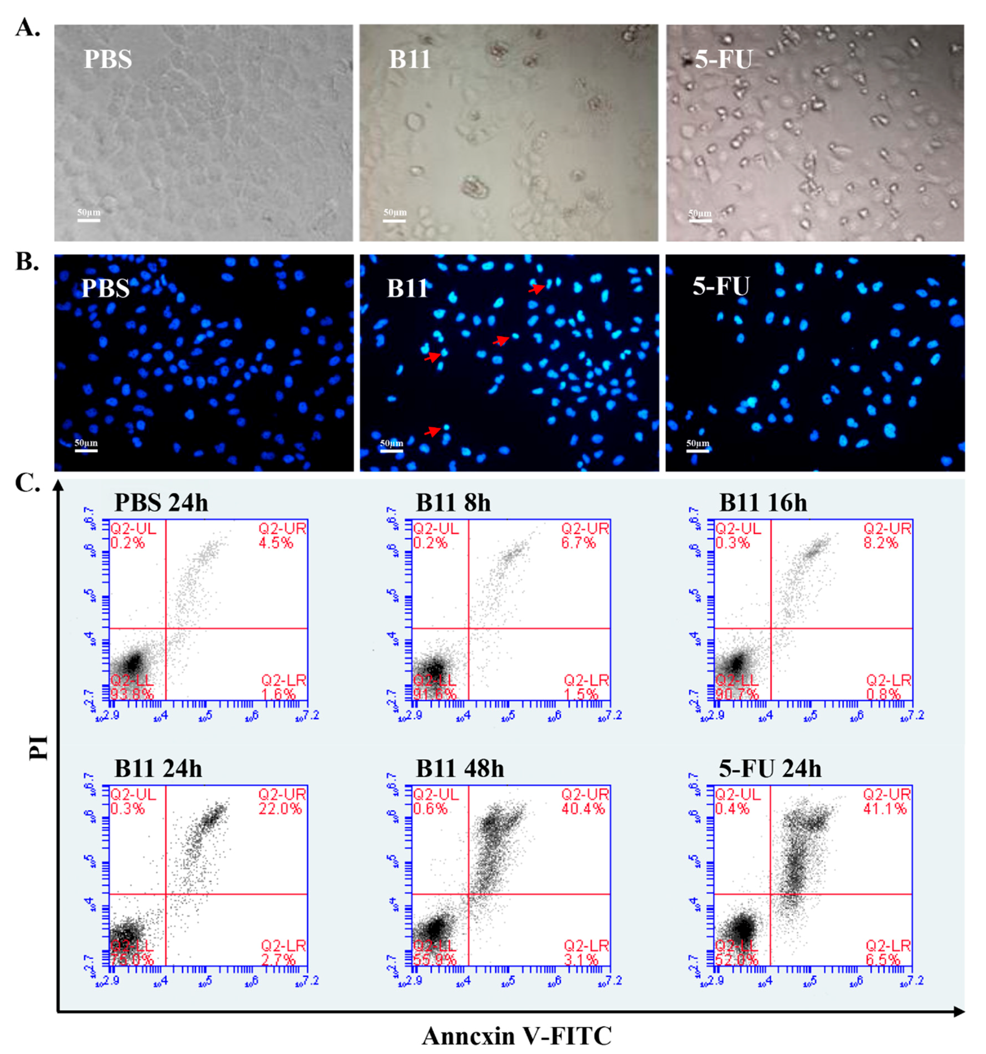 Molecules 23 03202 g003