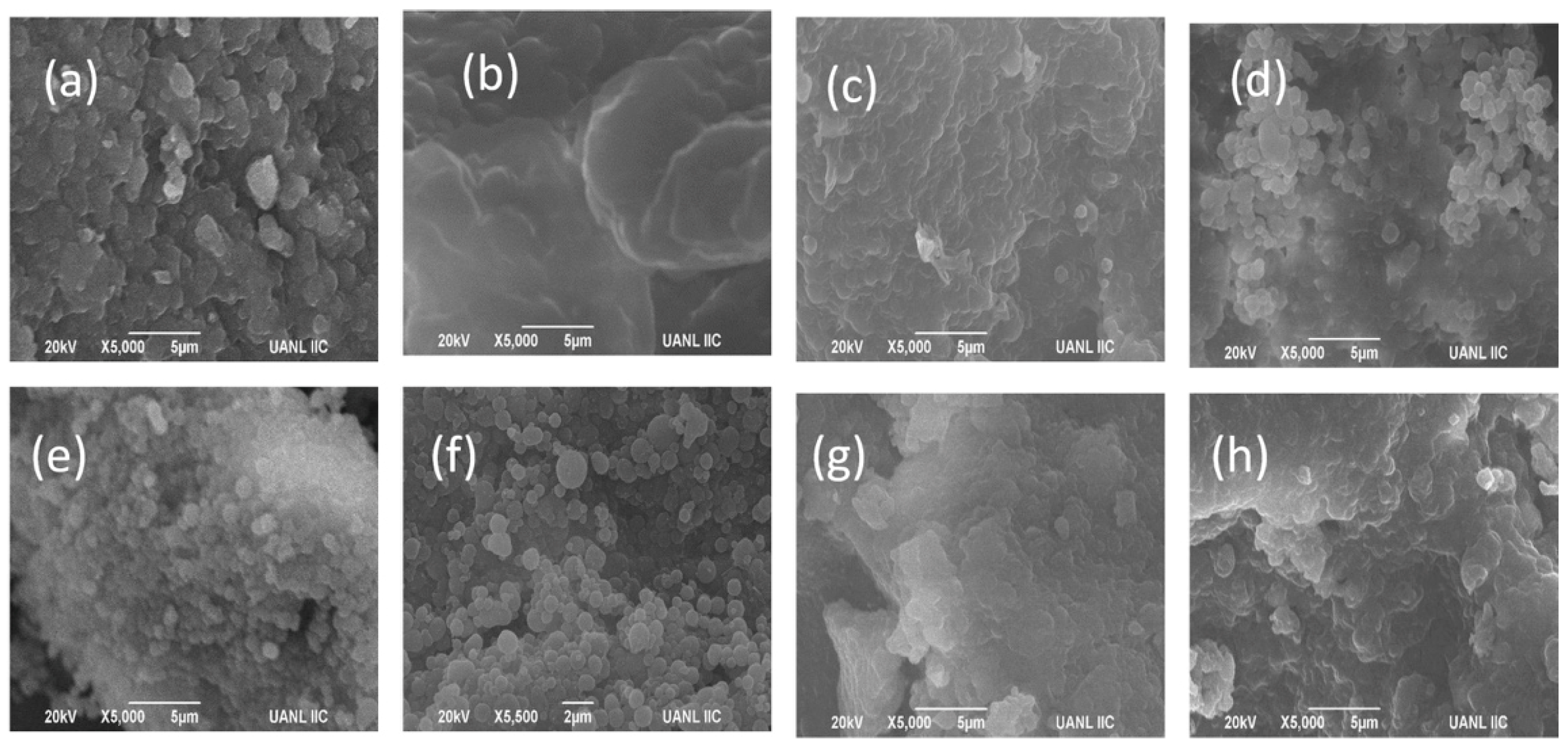 Molecules 23 03204 g003
